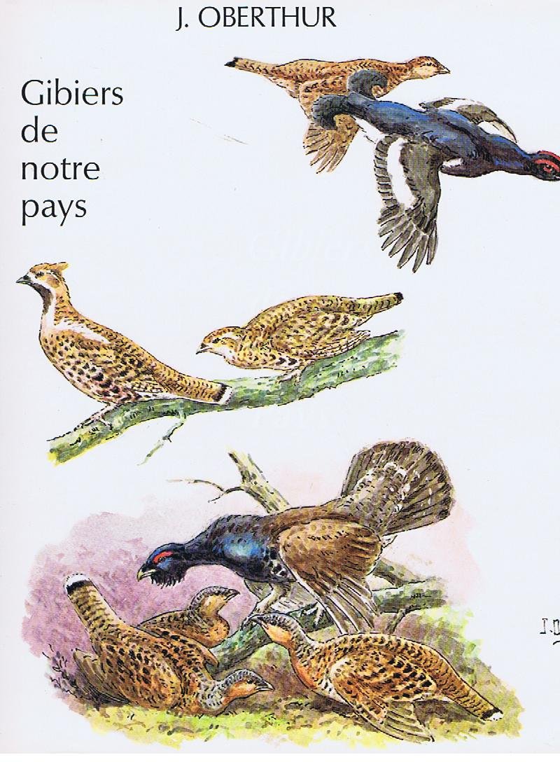 J. Oberthur. Gibiers De Notre Pays. Histoire Naturelle Pour Les Chasseurs. Livre Cinquième: Gibier De Montagne. book