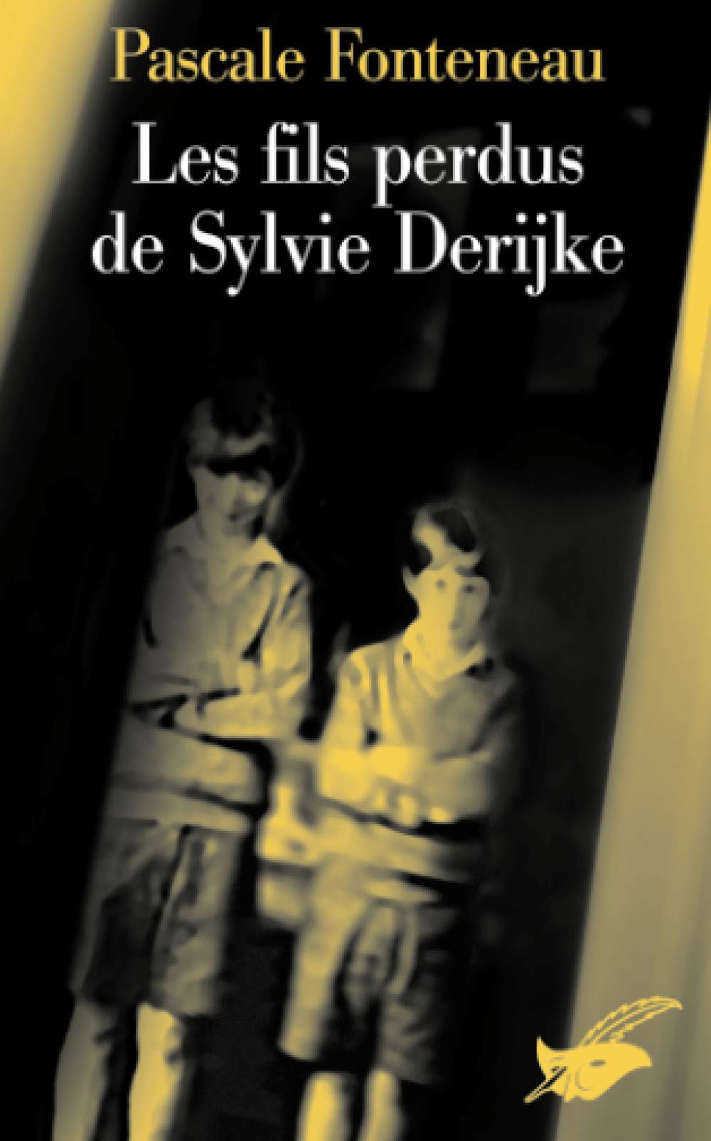 Les fils perdus de Sylvie Derikje Contemporary literature