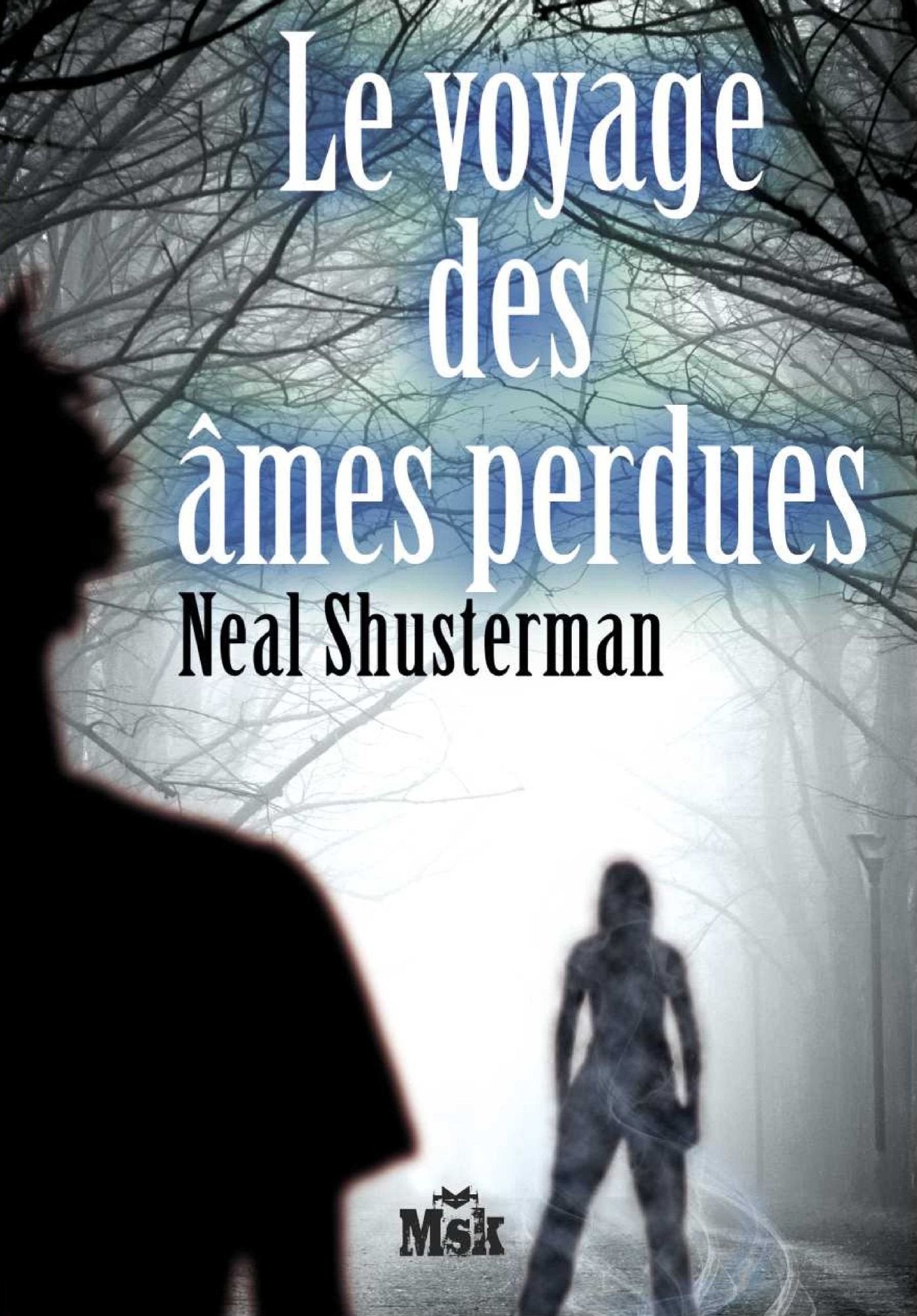 Product Image: Le voyage des âmes perdues