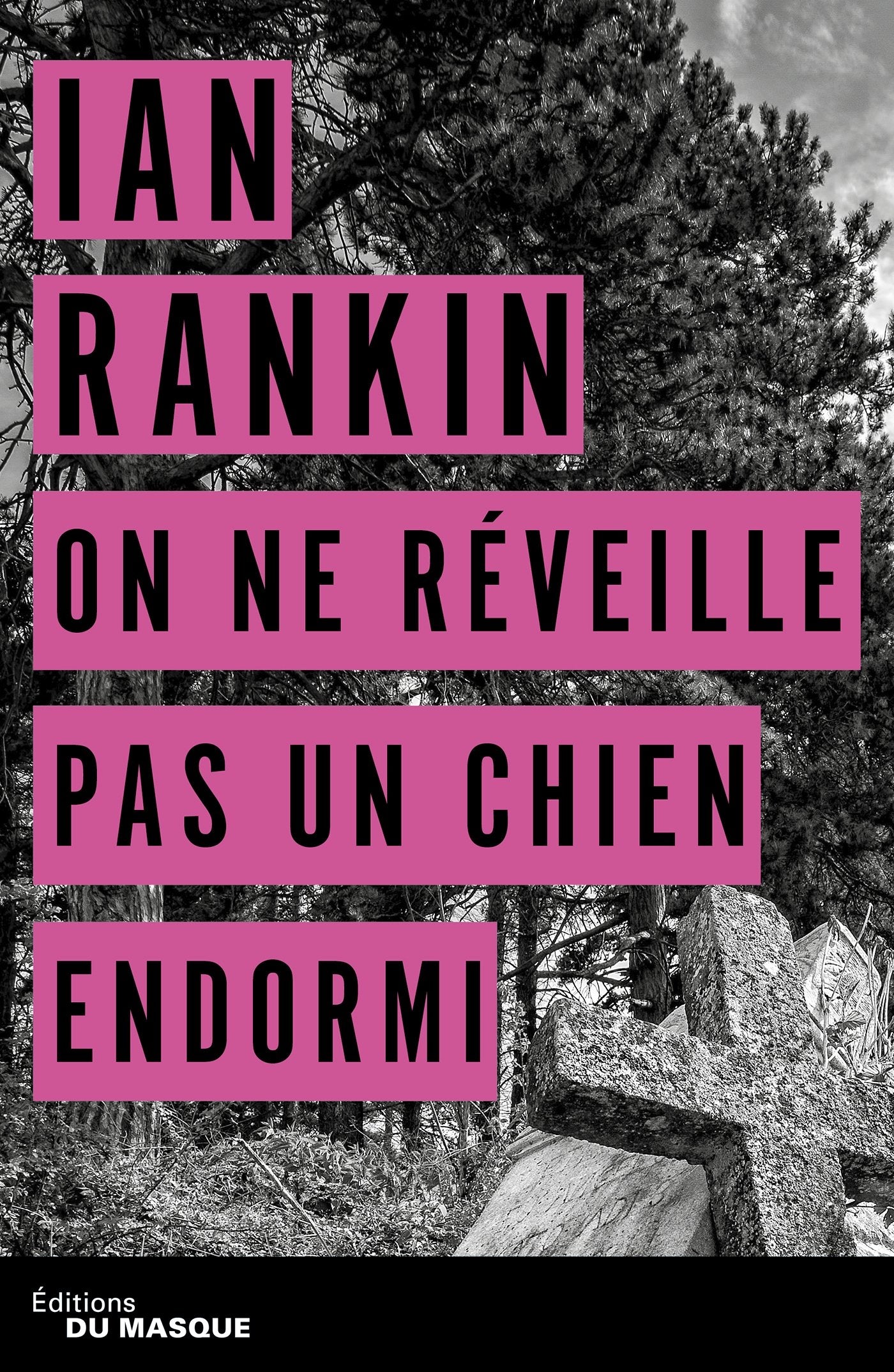 On ne réveille pas un chien endormi Contemporary literature