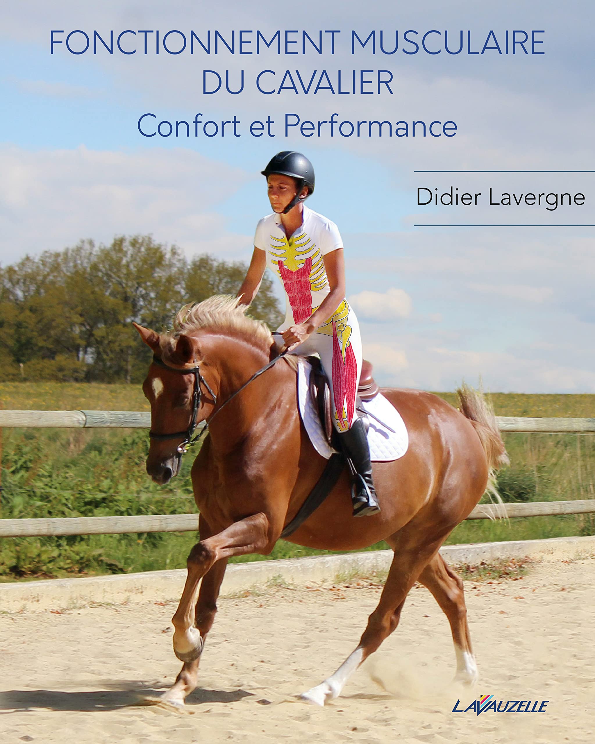 Fonctionnement Musculaire du Cavalier: Confort et Performance Leisure & Fun