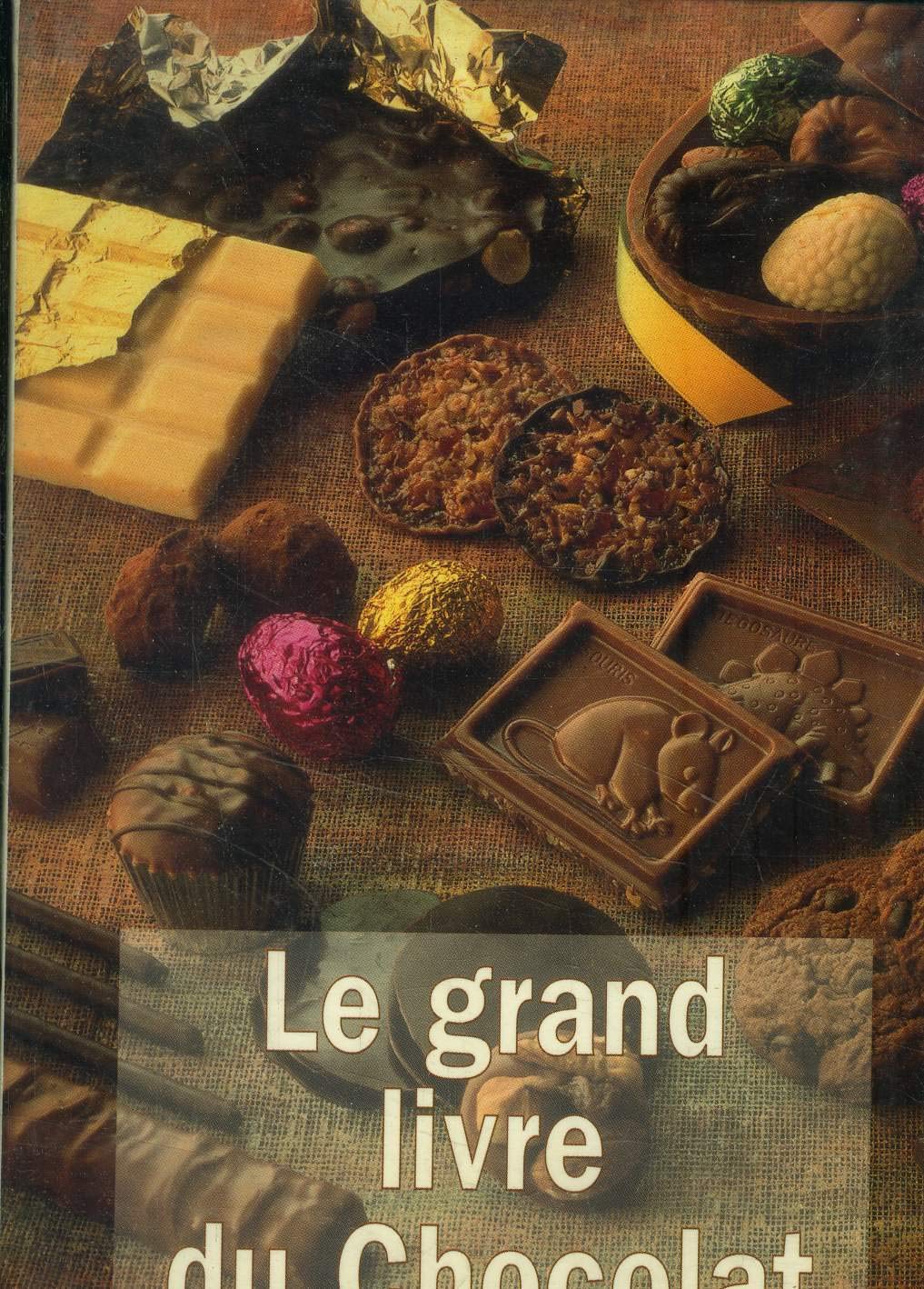 Le grand livre du chocolat Books