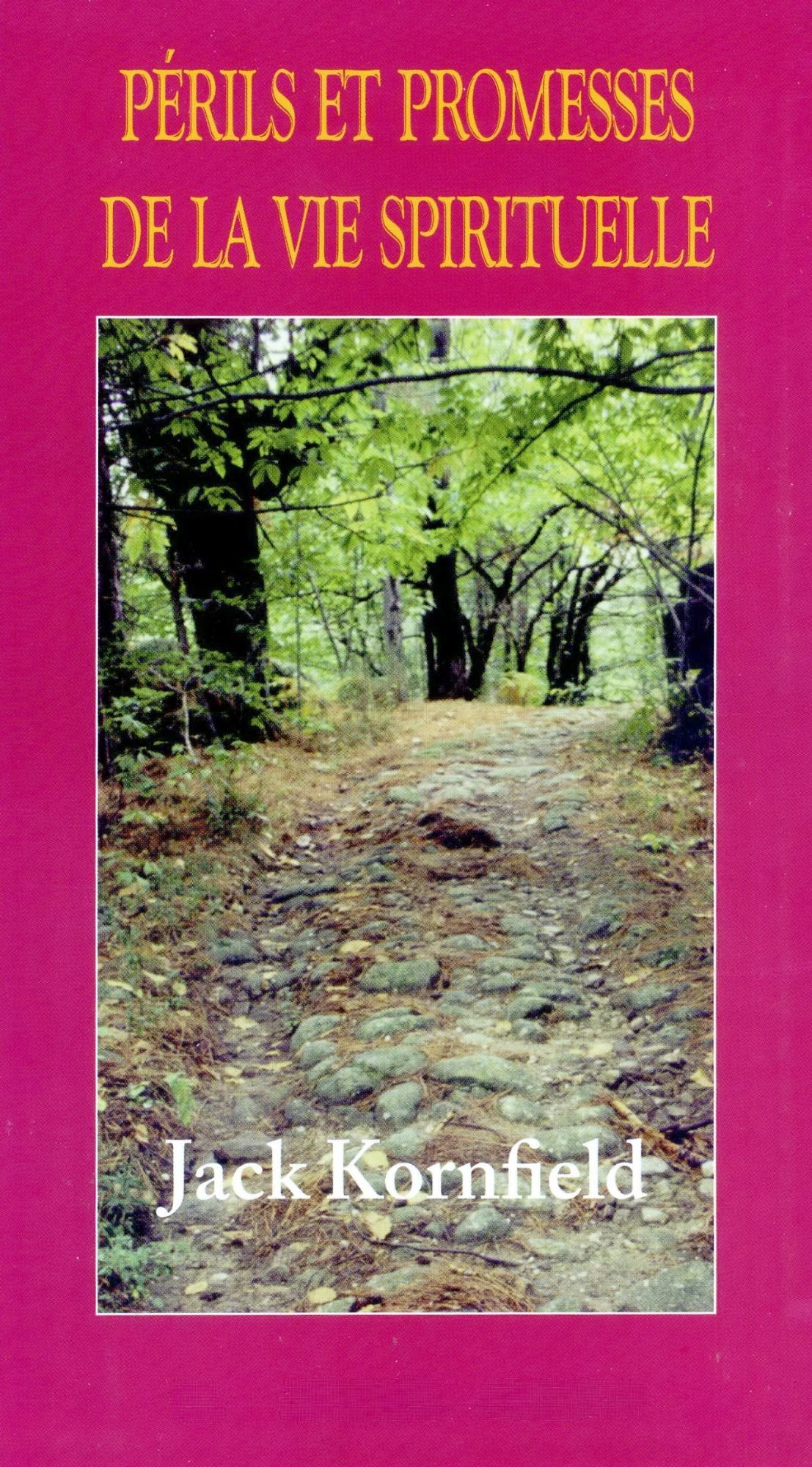 Périls et promesses de la vie spirituelle : Un chemin qui a du coeur Books