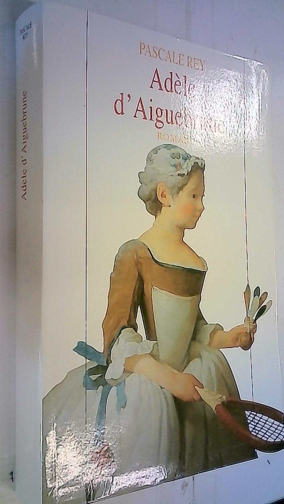 Adèle d'Aiguebrune book