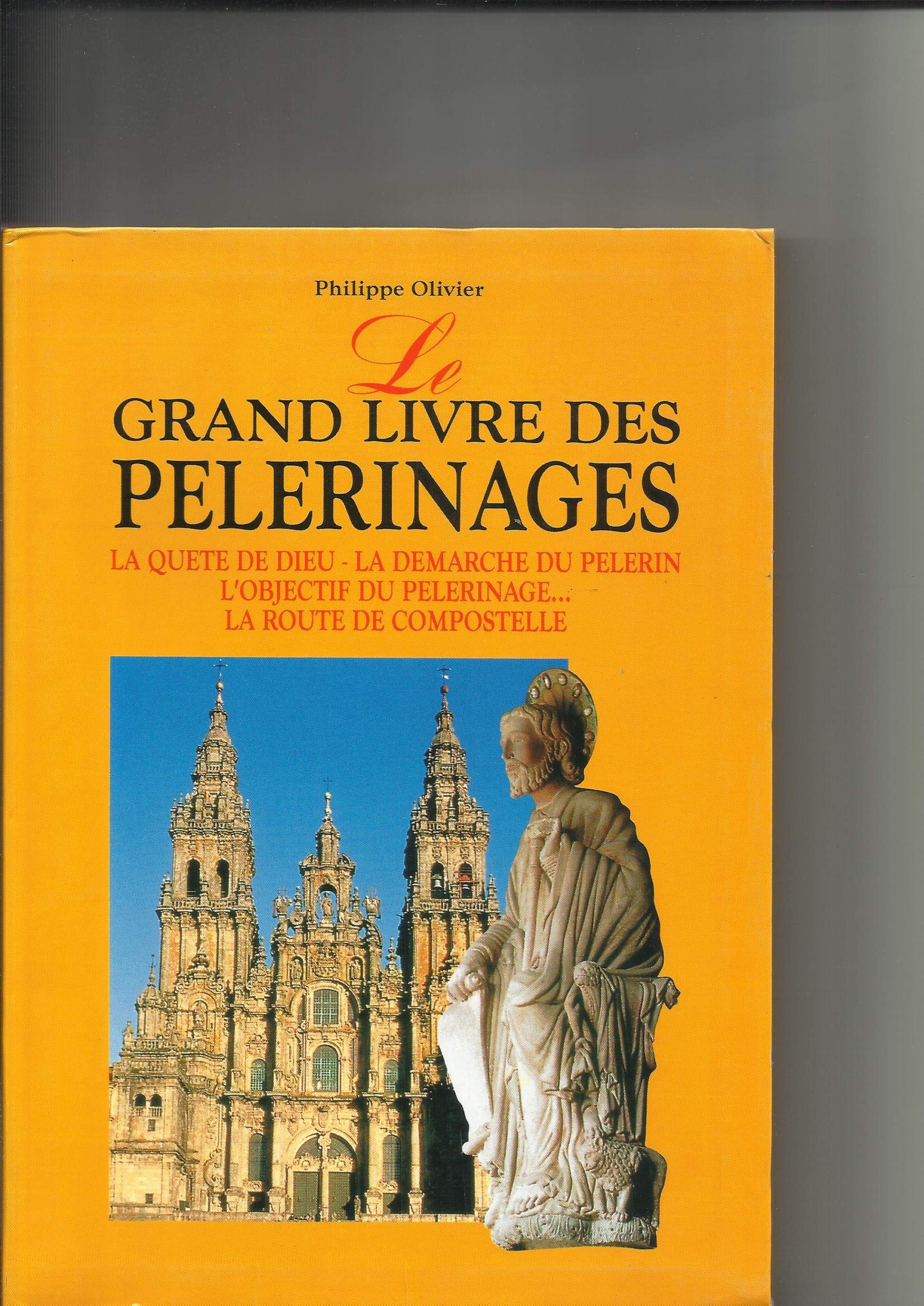 Le grand livre des pèlerinages book