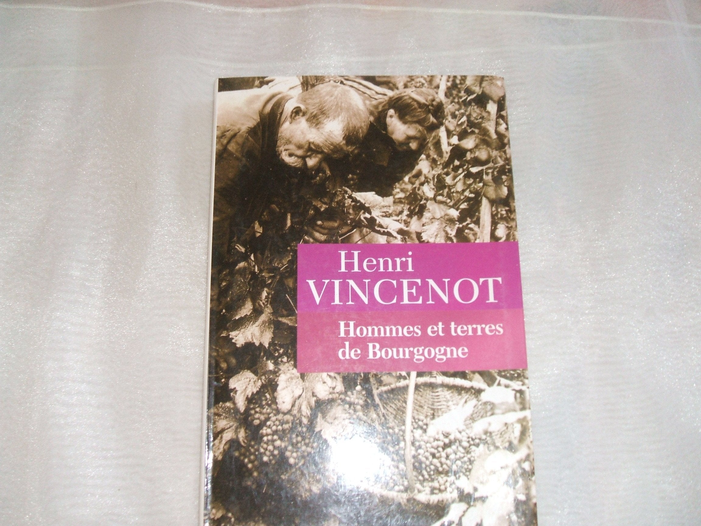 Hommes et terres de Bourgogne Books