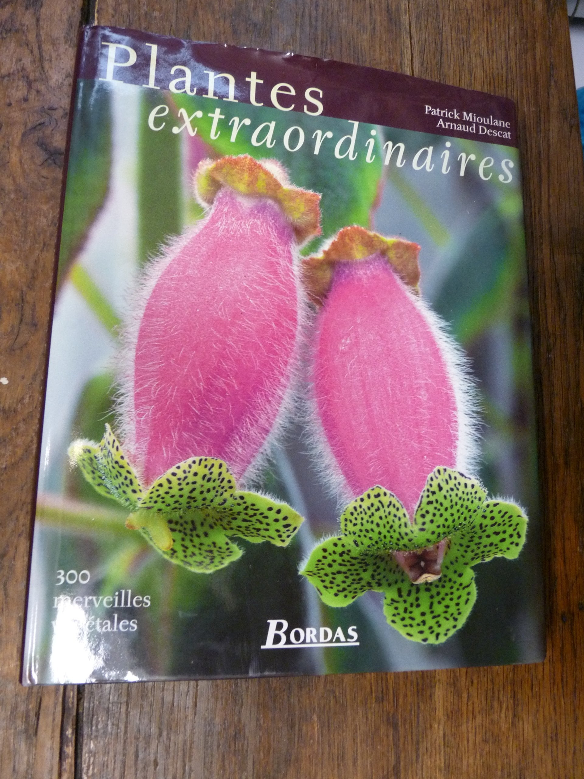 Plantes extraordinaires : 300 merveilles végétales book
