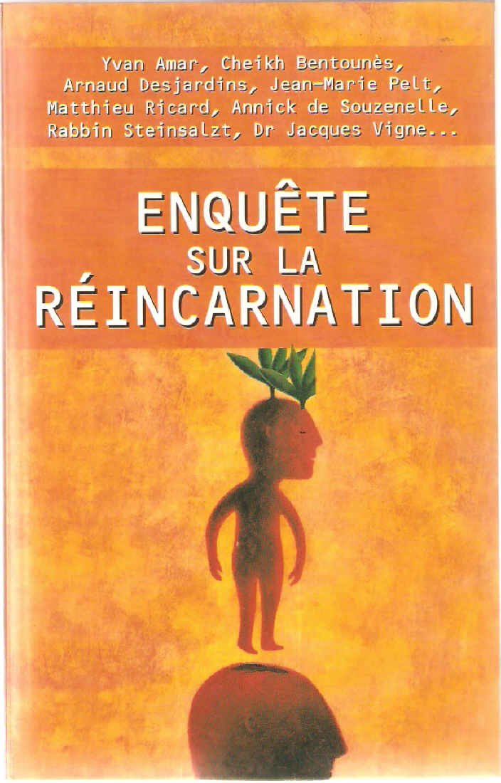 Enquête sur la réincarnation Books