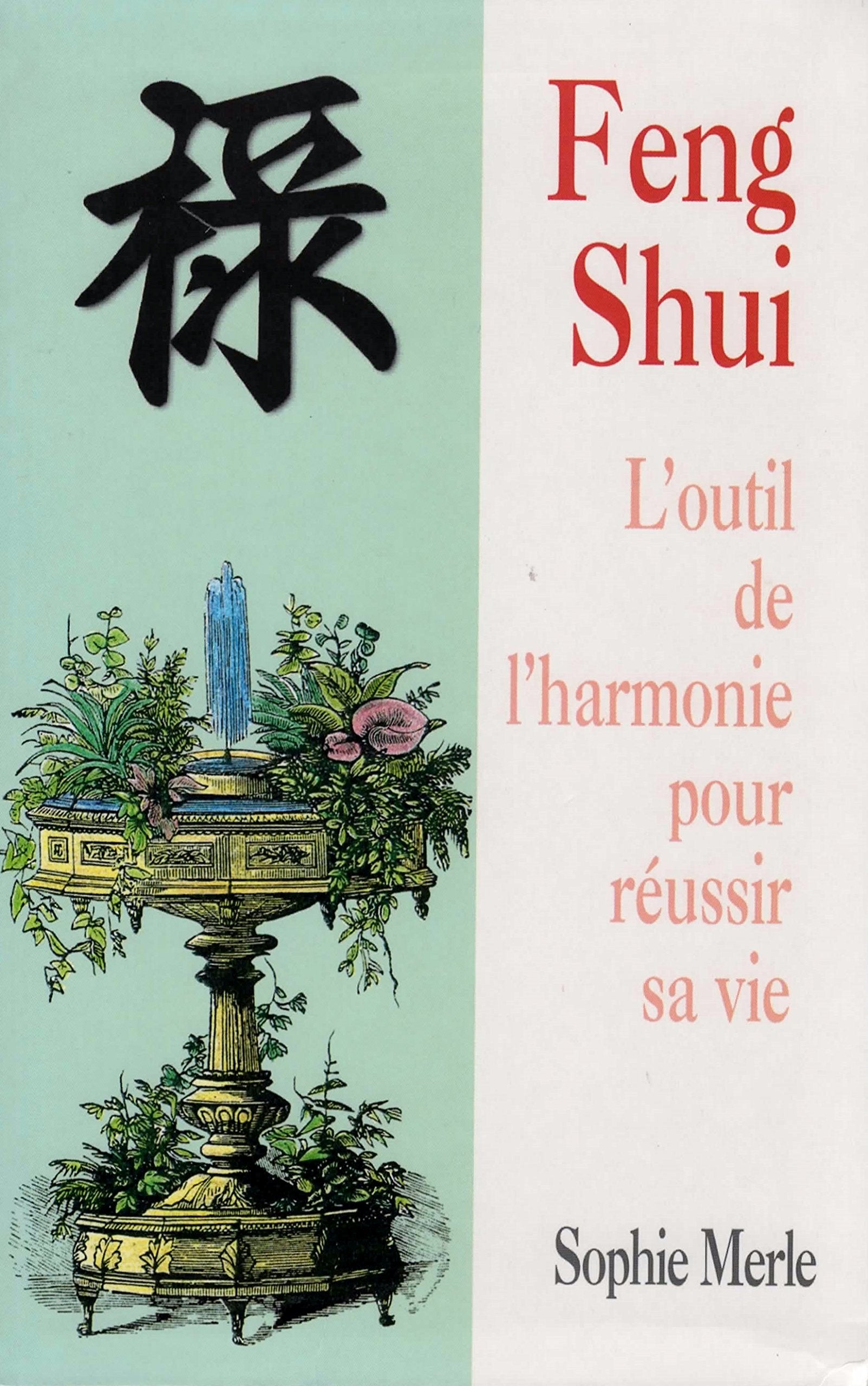 Feng shui : L'outil de l'harmonie pour réussir sa vie Books