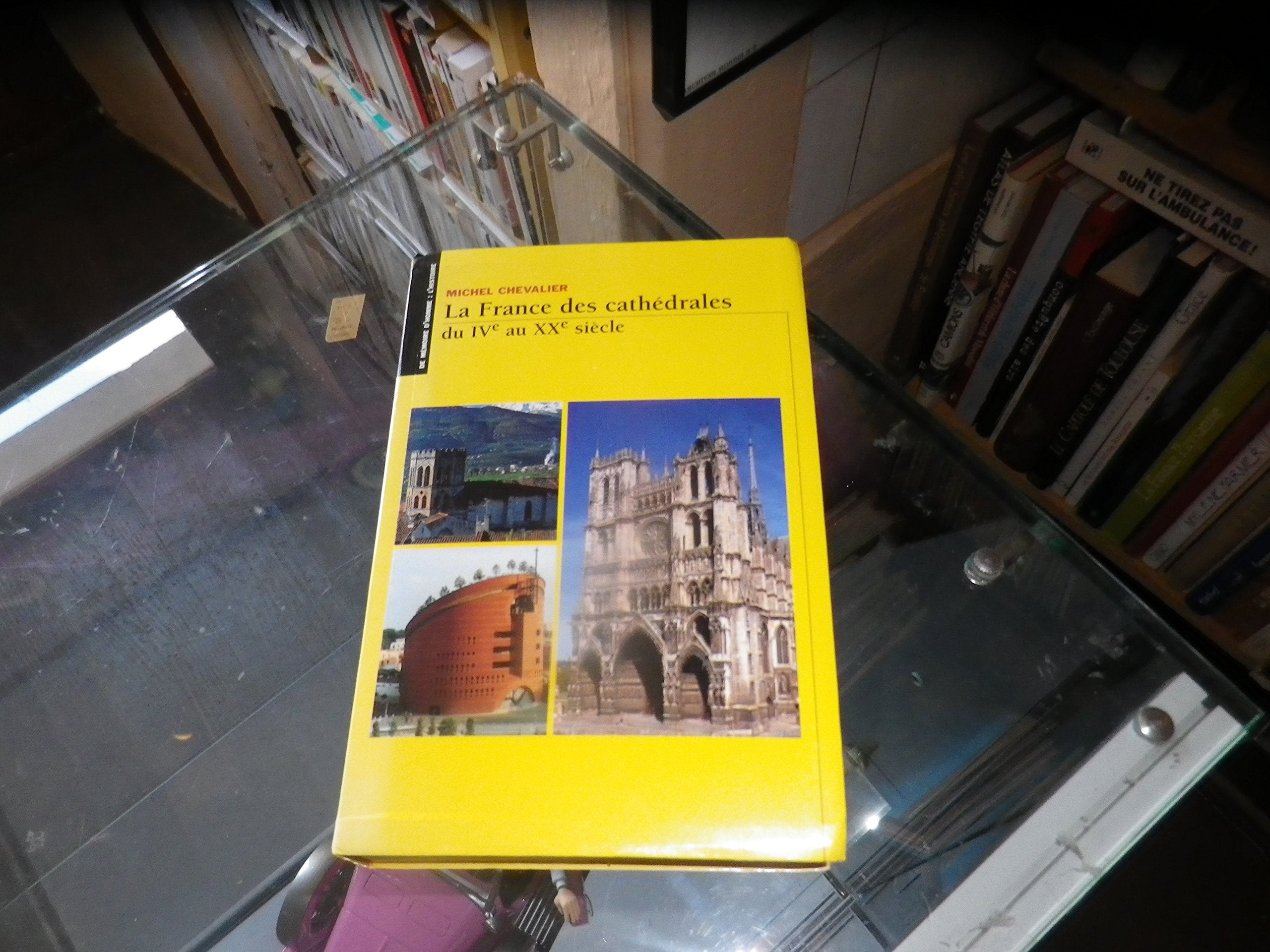 La France des cathédrales : Du IVe au XXe siècle Books