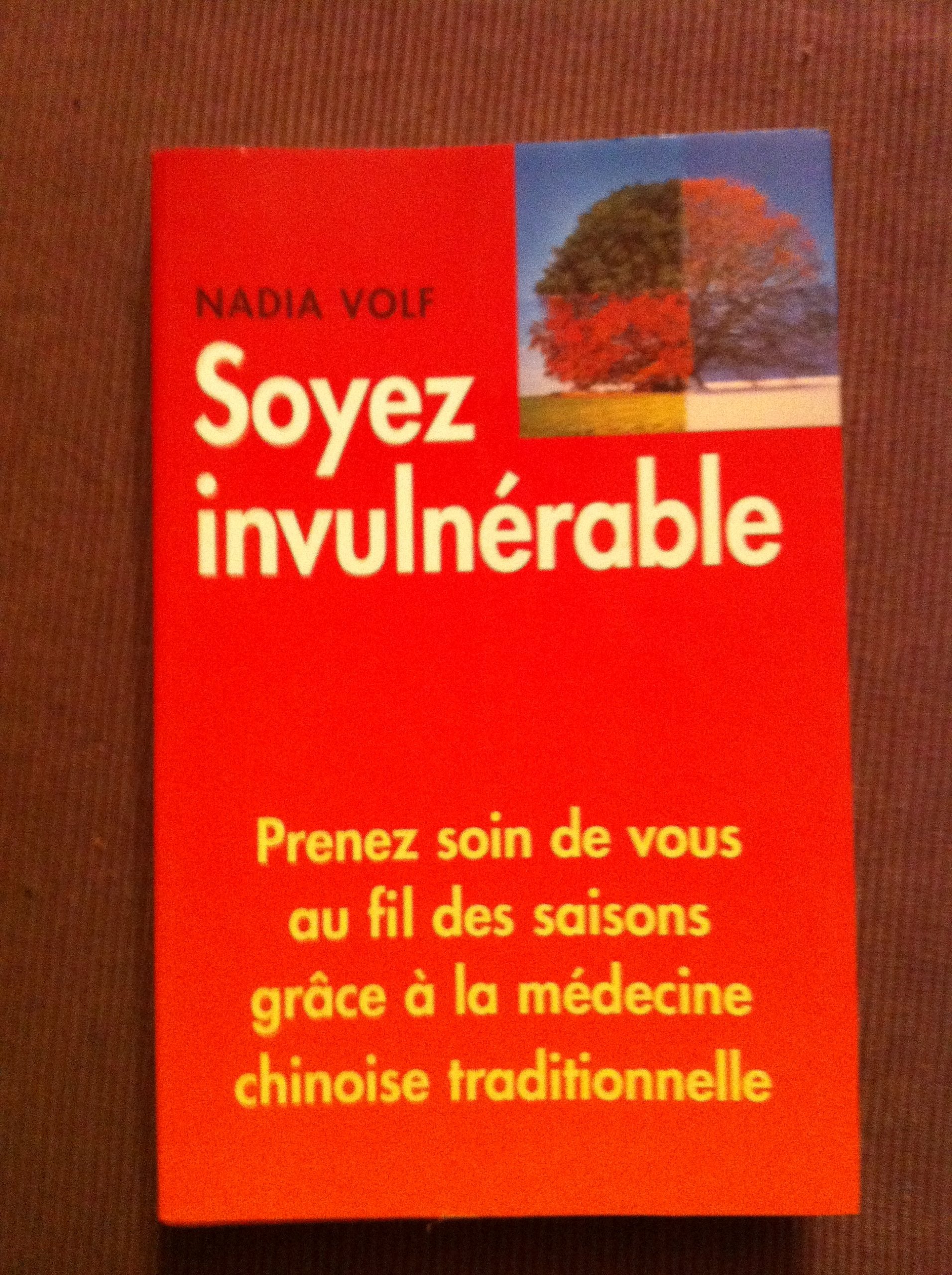 Soyez invulnérable : Prenez soin de vous au fil des saisons grâce à la médecine traditionnelle chinoise book