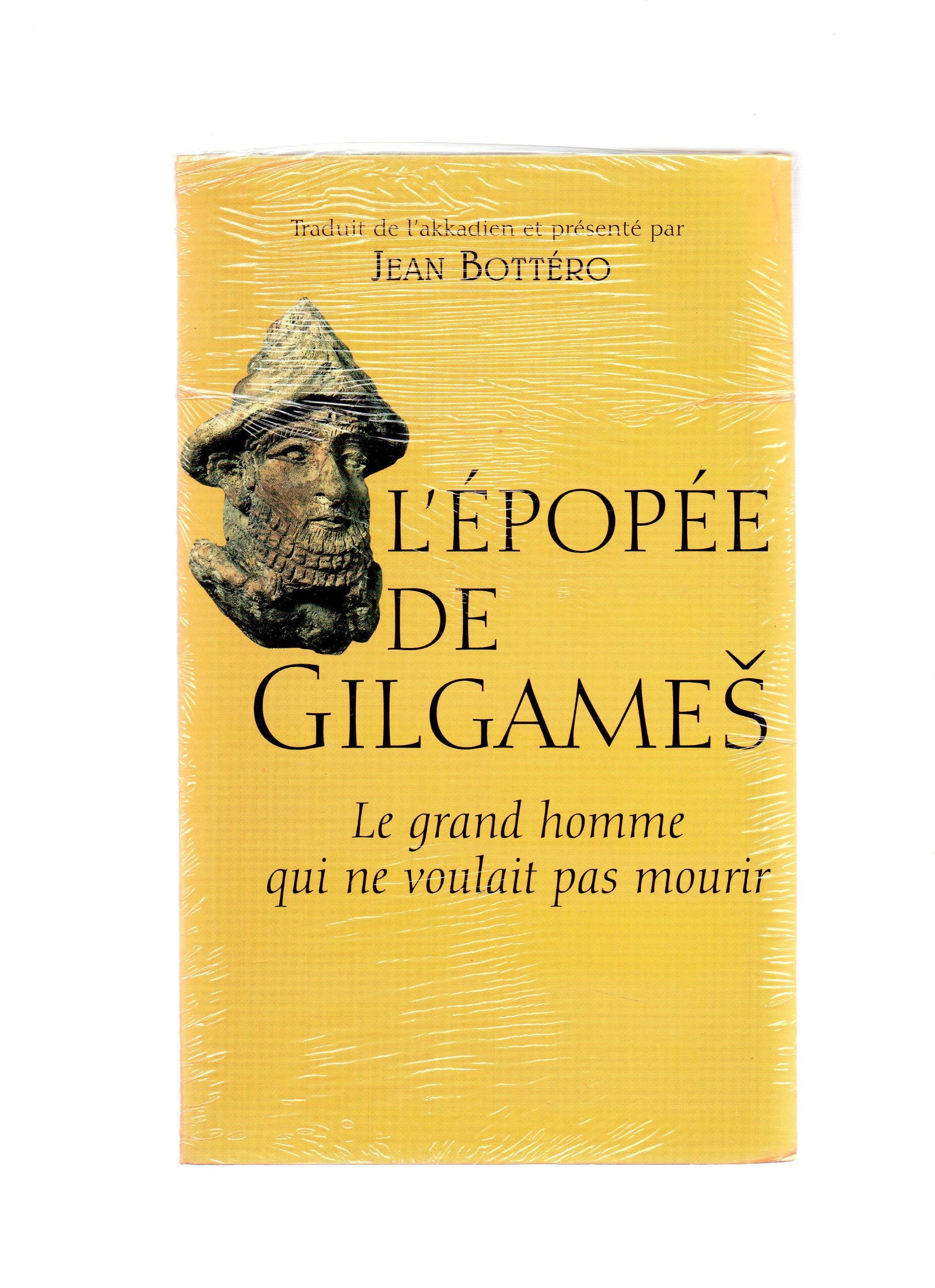 L'épopée de Gilgames : Le grand homme qui ne voulait pas mourir Books