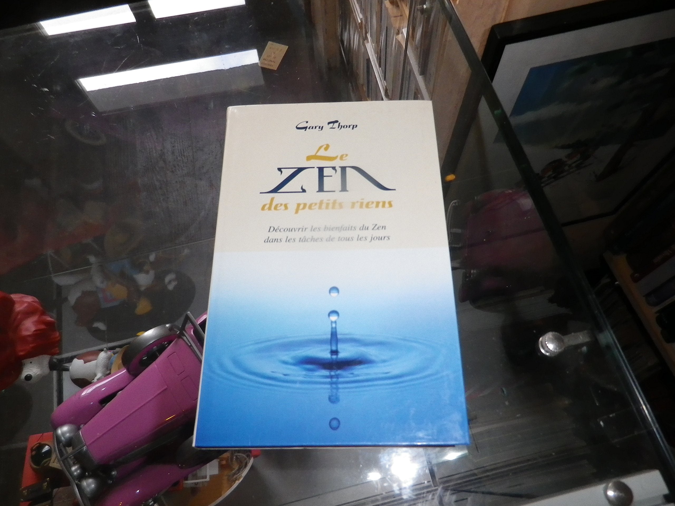 Le zen des petits riens : Découvrir les bienfaits du zen dans les tâches de tous les jours Books