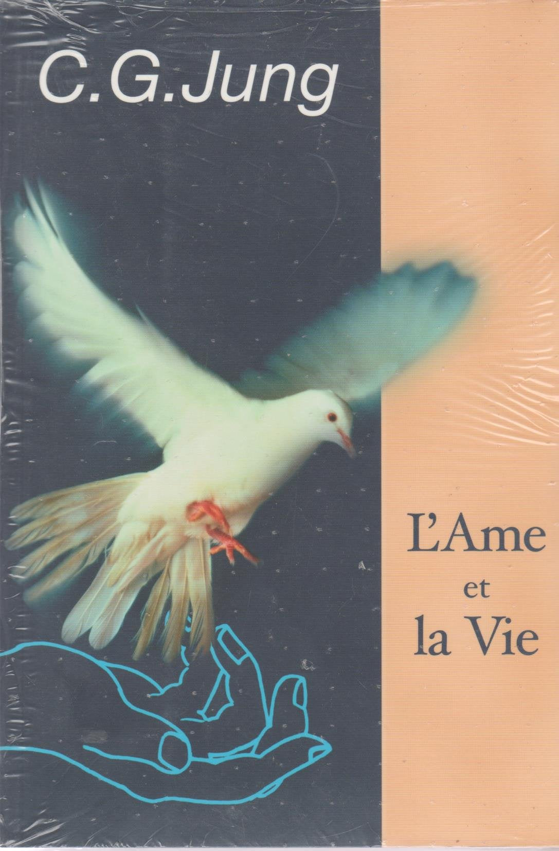 L'âme et la vie (Les clés de la psychologie) Books