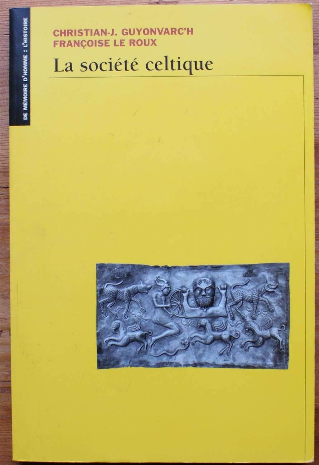 La société celtique : Dans l'idéologie trifonctionnelle et la tradition religieuse indo-européennes Books