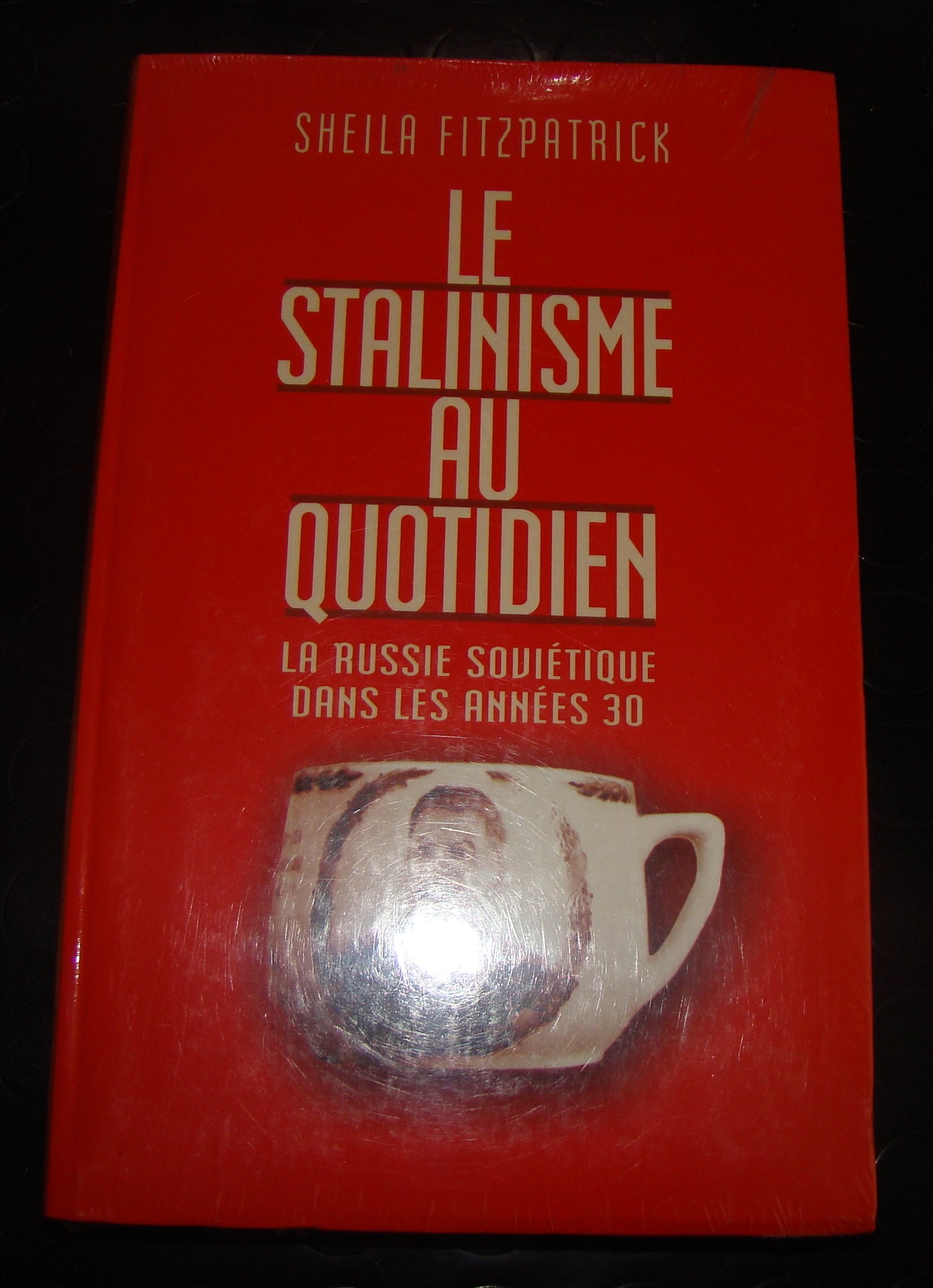 Le stalinisme au quotidien : La Russie soviétique dans les années 30 Books