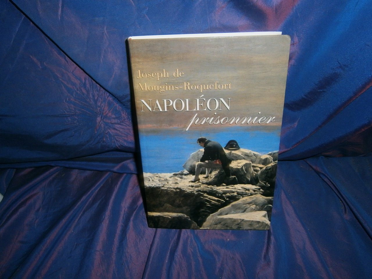 Napoléon prisonnier vu par les Anglais book
