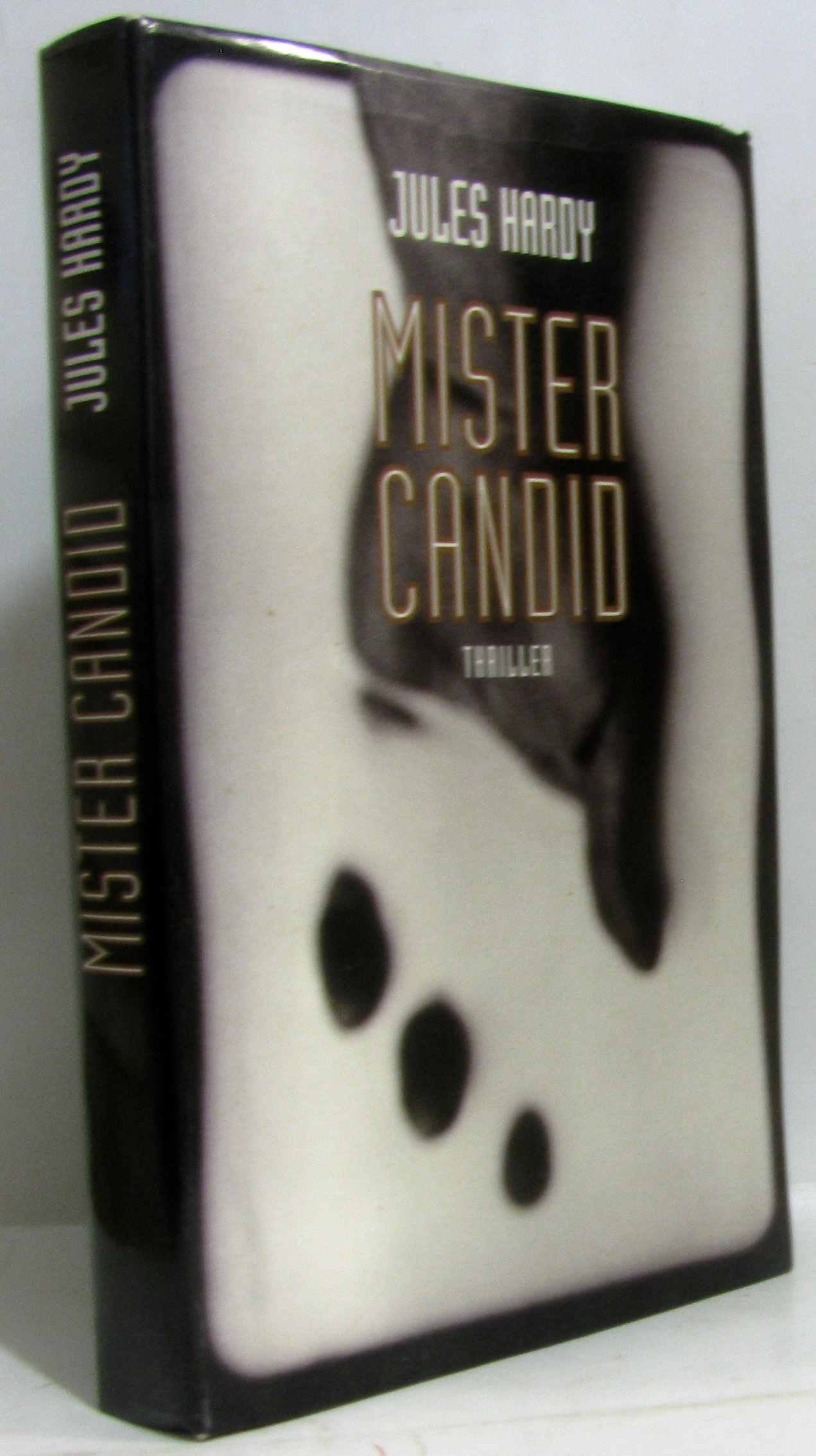 Mister Candid : Thriller book