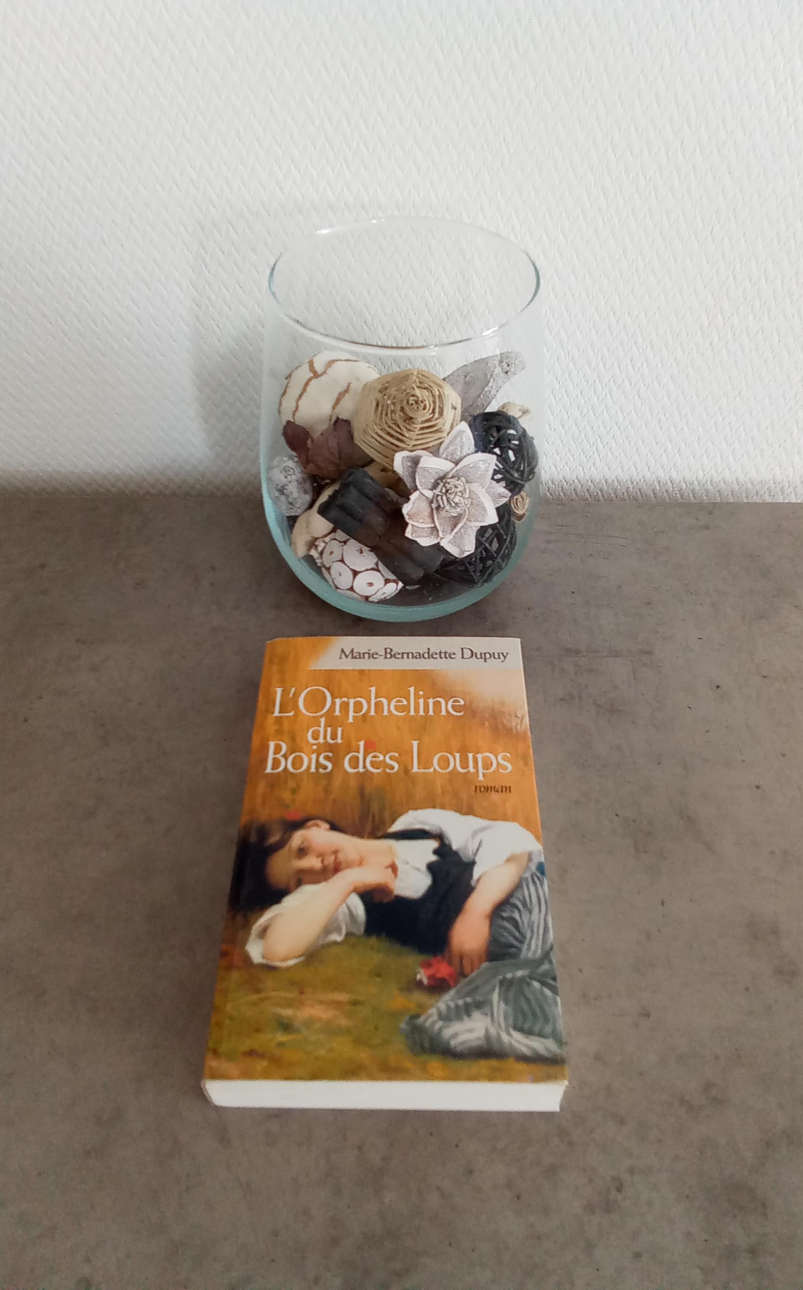 L'orpheline du bois des loups Books