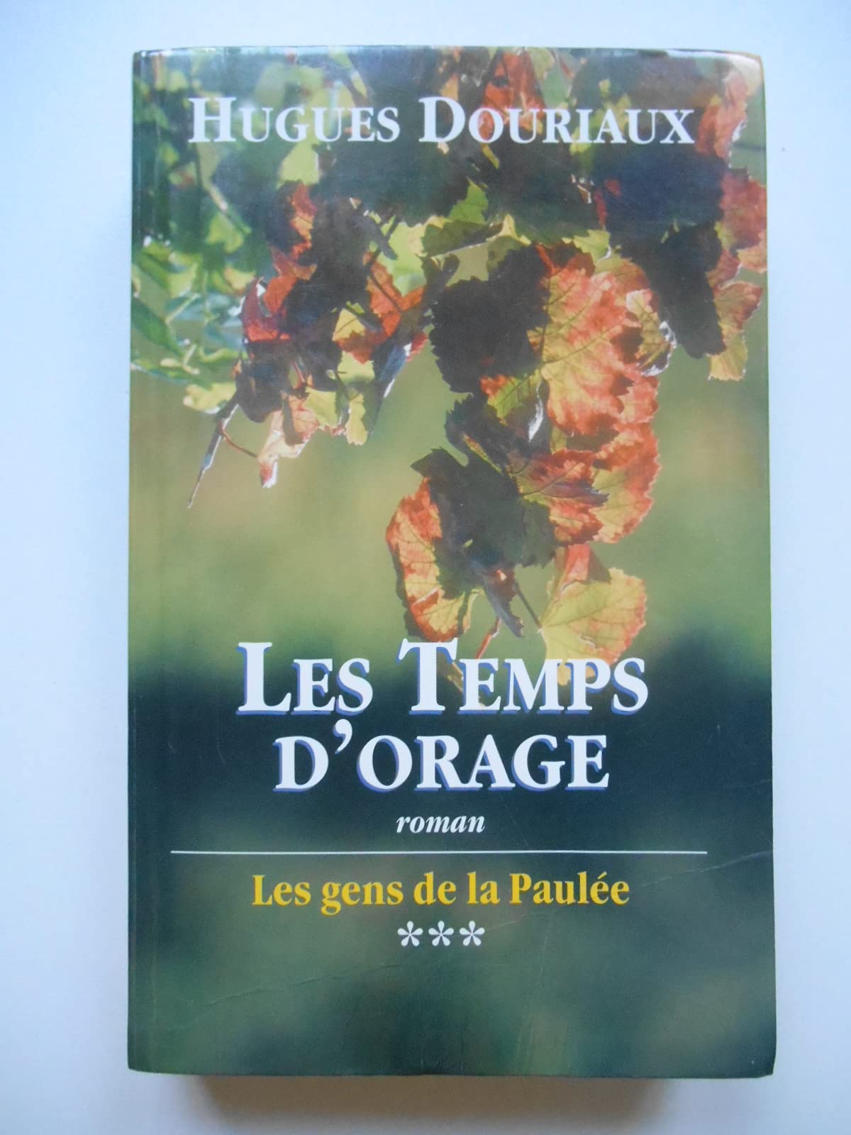 Les temps d'orage (Les gens de la Paulée) book