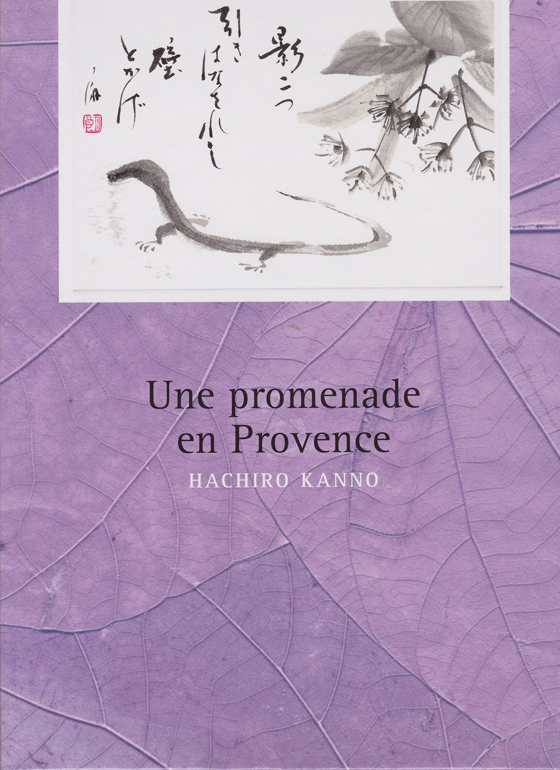Une promenade en Provence book