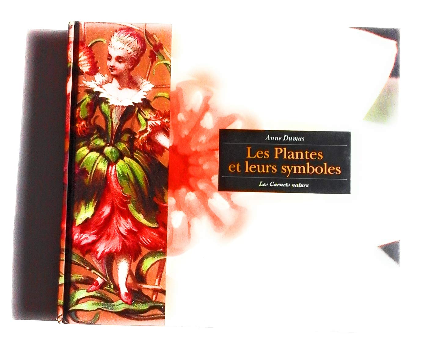 Les plantes et leurs symboles : Les carnets du jardin book