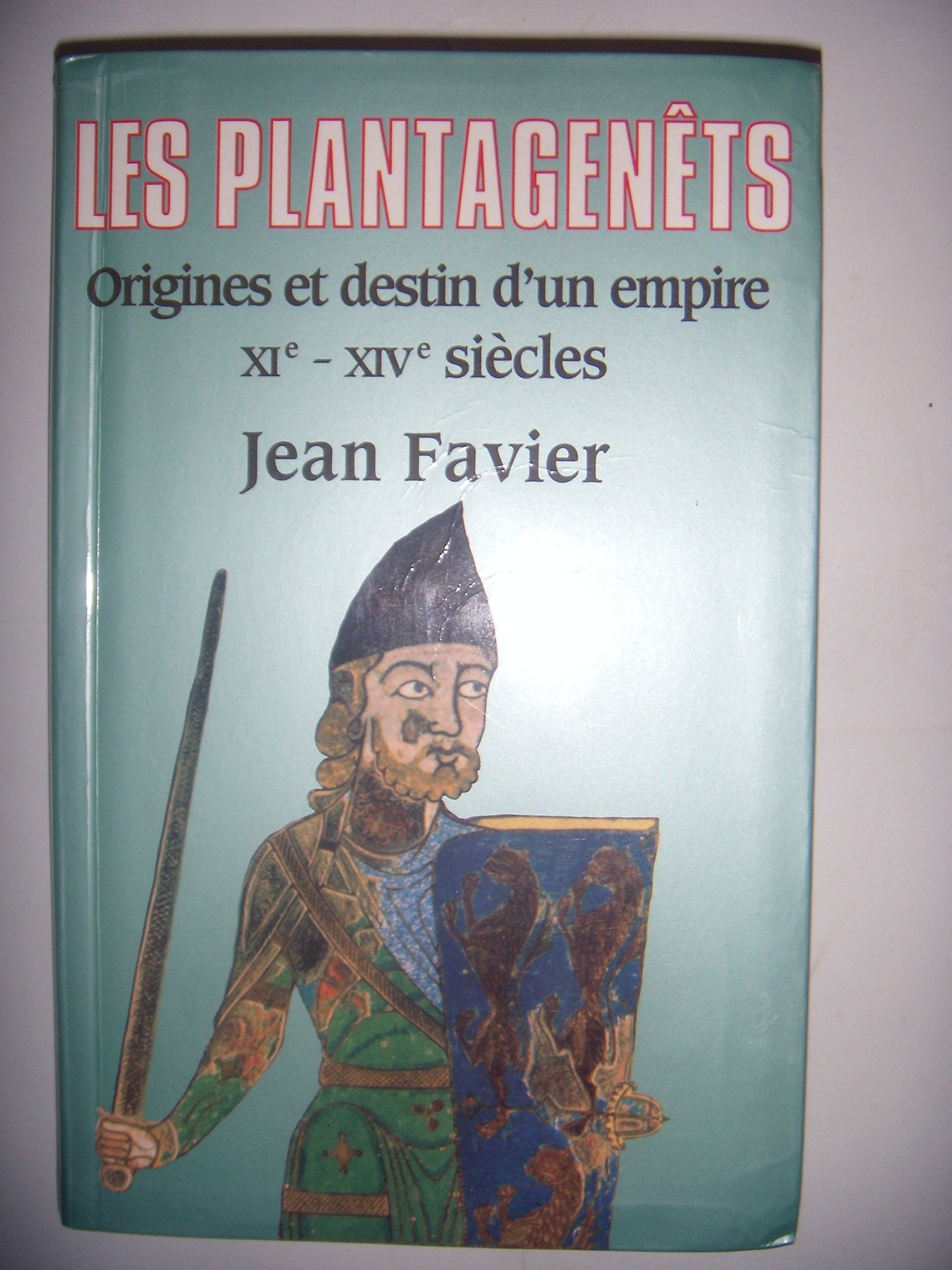 Les Plantagenêts, origines et destin d'un empire, XIe-XIVe siècles. German history