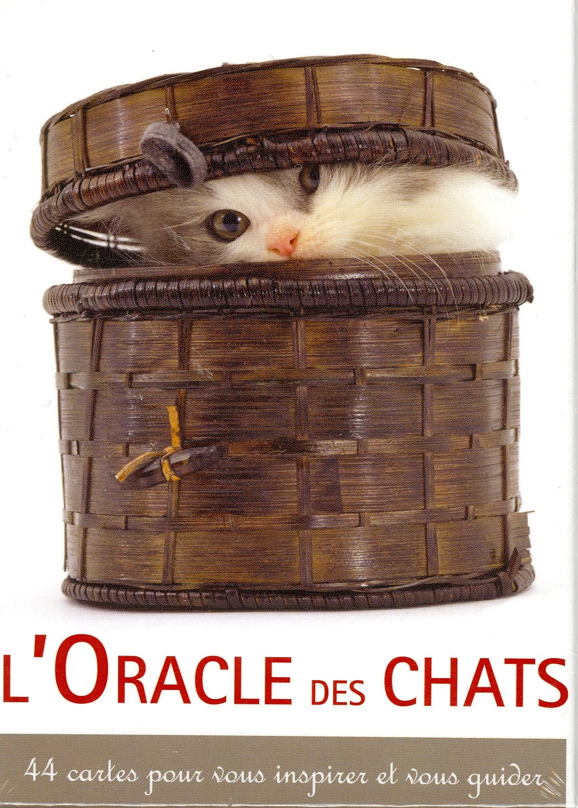 L'oracle des chats: 44 cartes pour vous inspirer et vous guider book