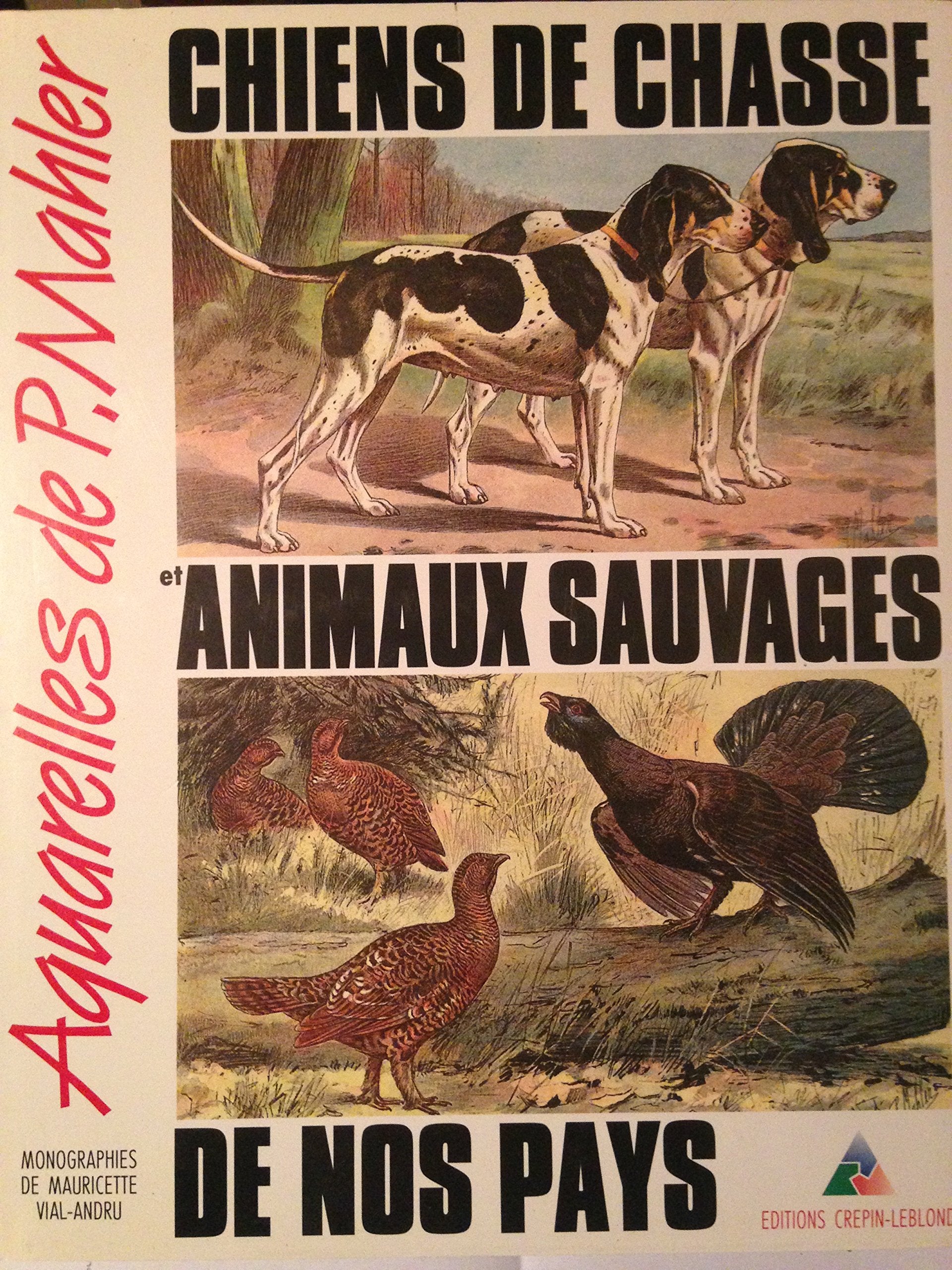 Chiens de chasse et animaux sauvages de nos pays : aquarelles Books