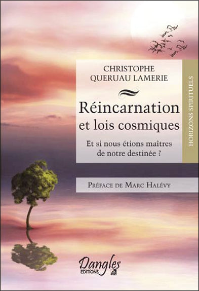 Réincarnation et lois cosmiques : et si nous étions maîtres de notre destinée ? Religion & Esotericism