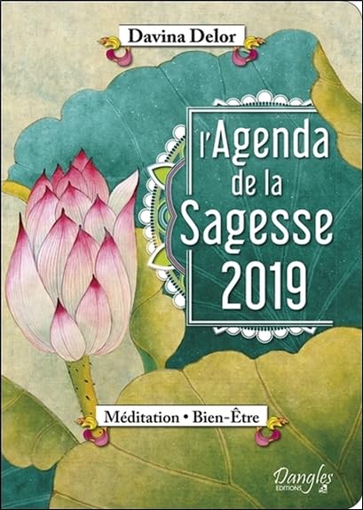 L'AGENDA DE LA SAGESSE 2019 Books