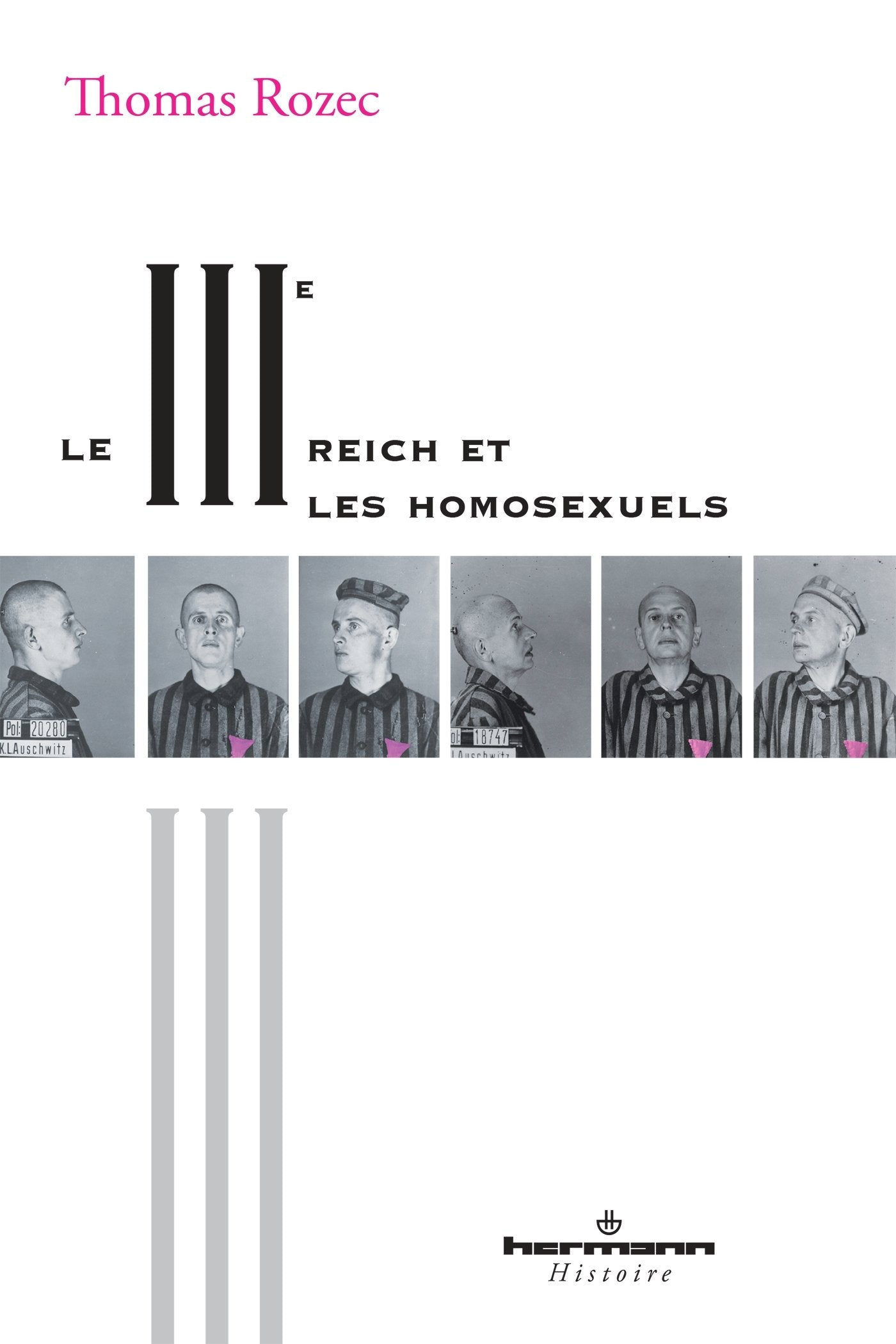 Le IIIe Reich et les homosexuels book