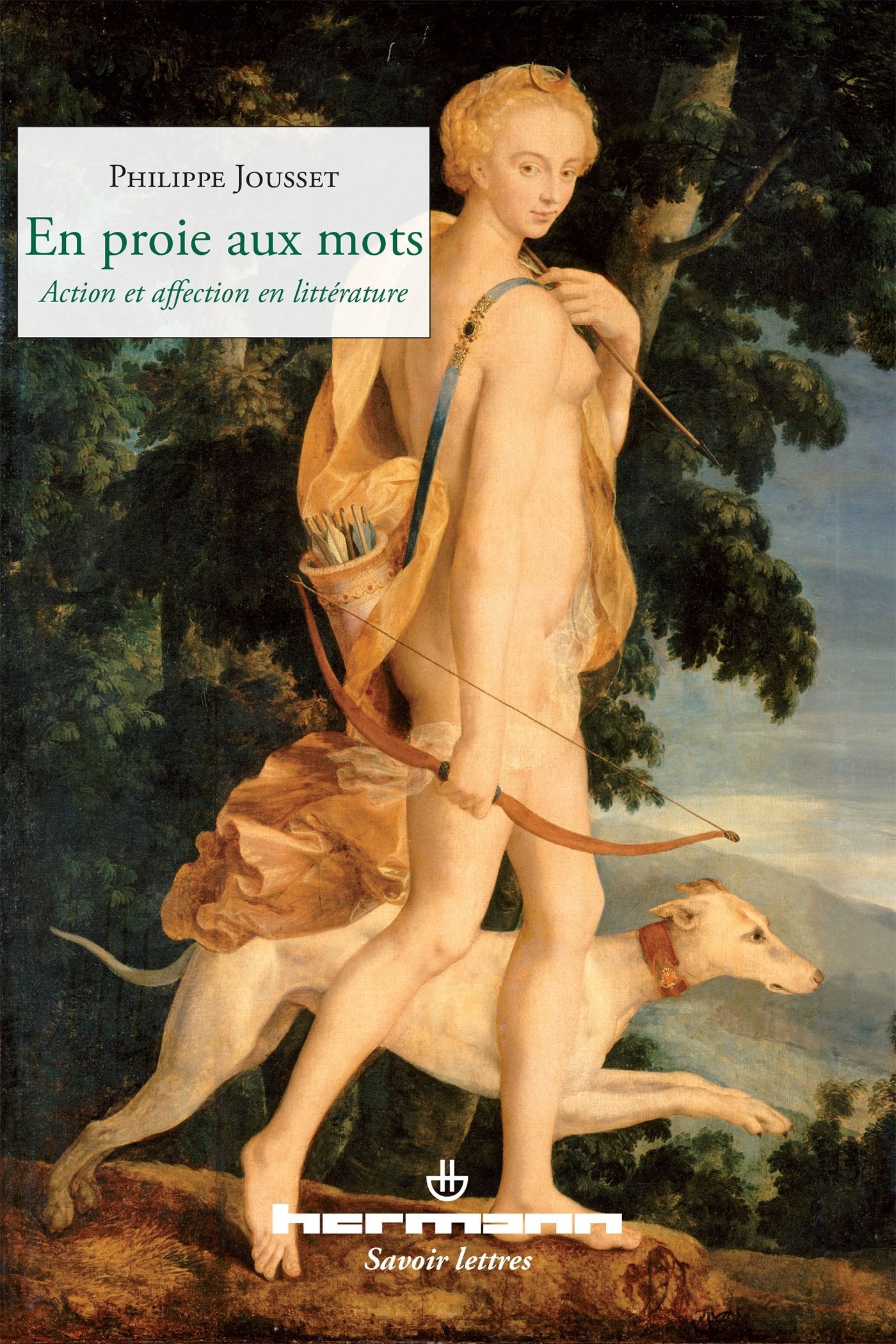 En proie aux mots: Action et affection en littérature book