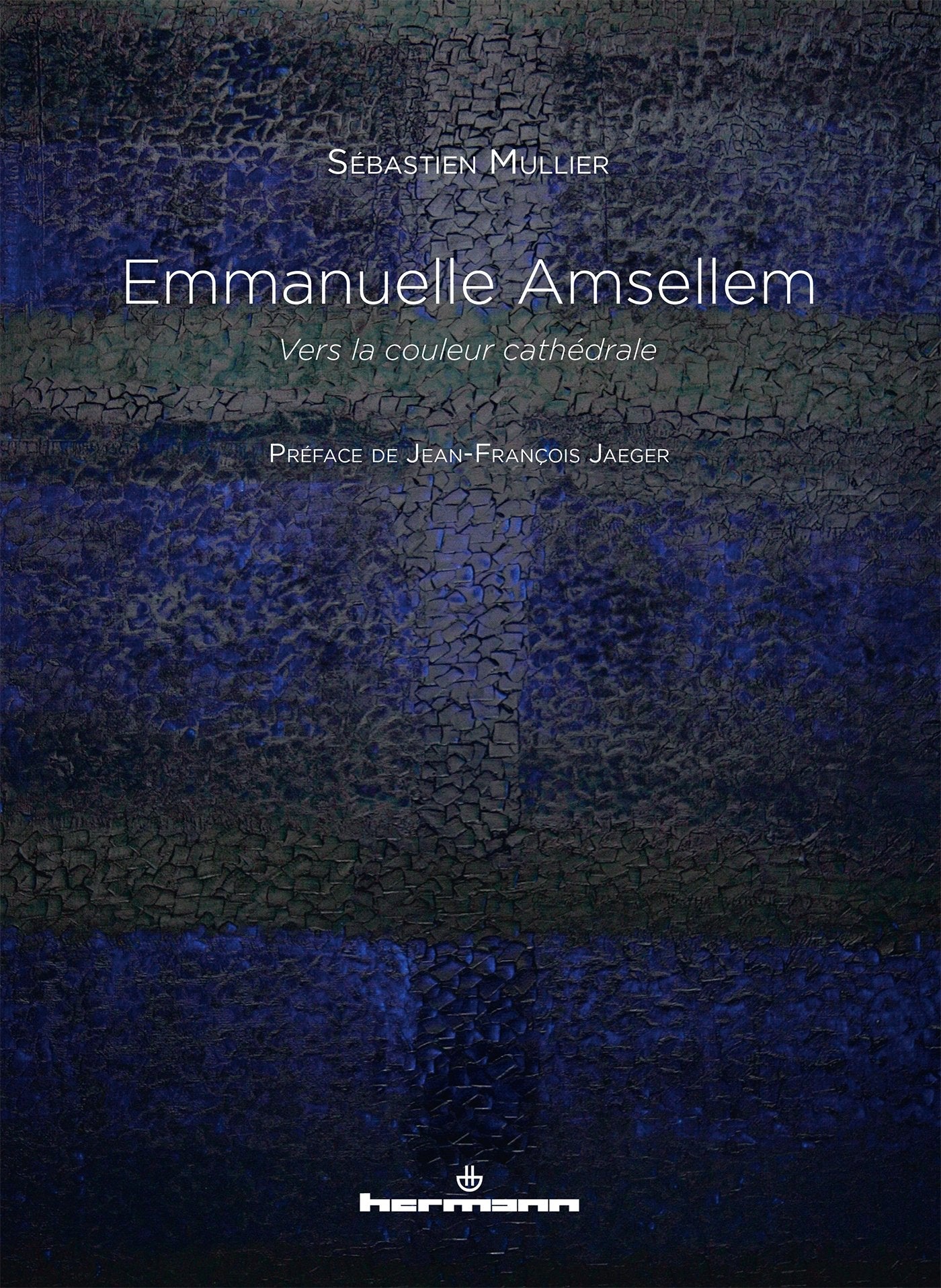 Emmanuelle Amsellem: Vers la couleur cathédrale book