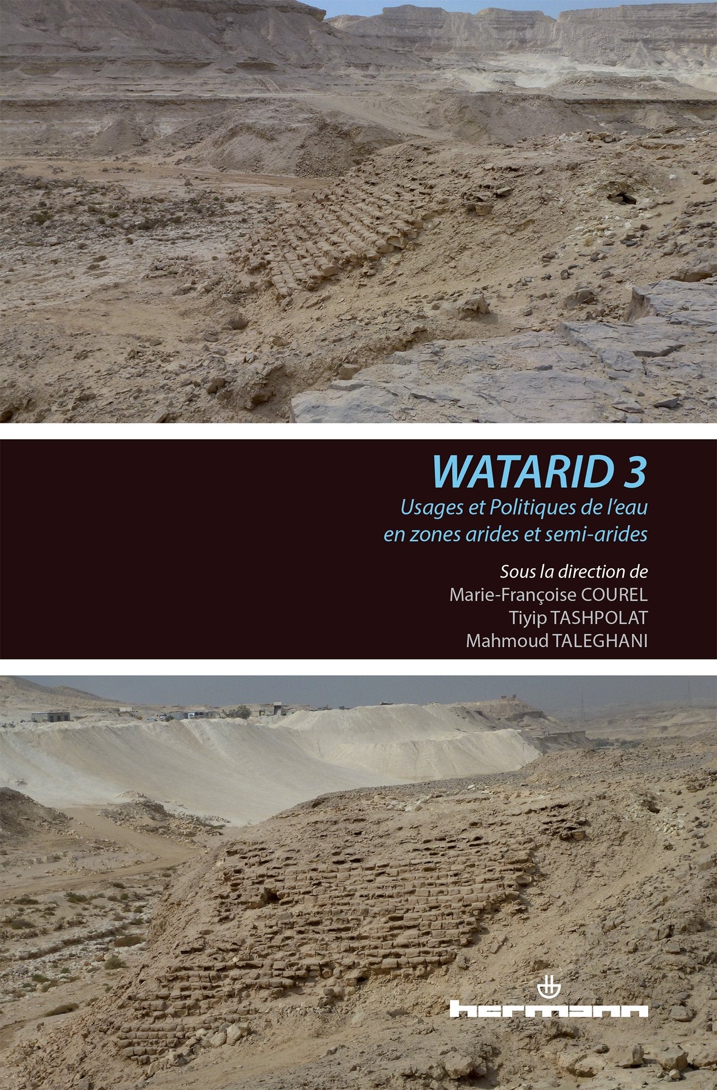 Usages et politiques de l'eau en zones arides et semi-arides: Conférence internationale Watarid 3 book