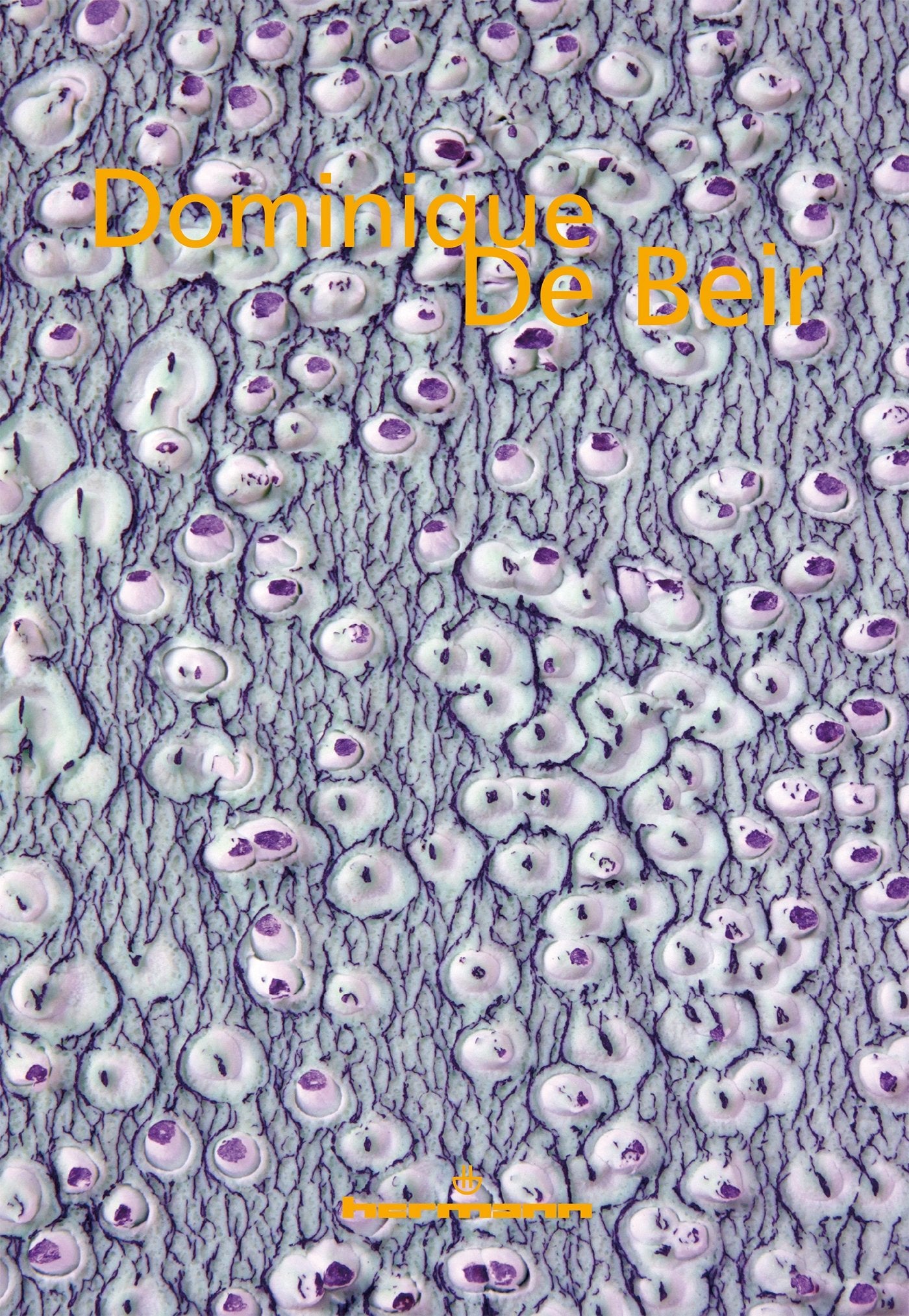 Dominique De Beir: Monographie book
