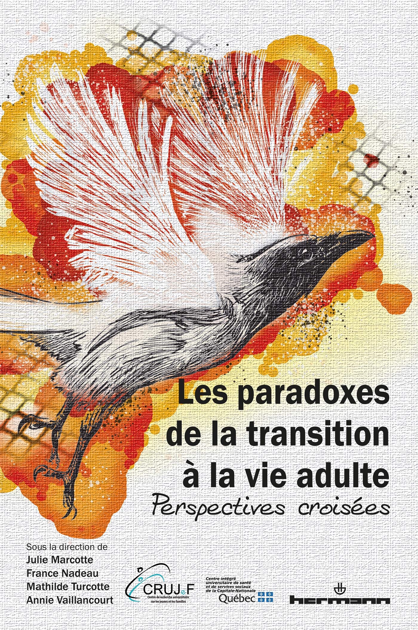 Les paradoxes de la transition à la vie adulte: Perspectives croisées book