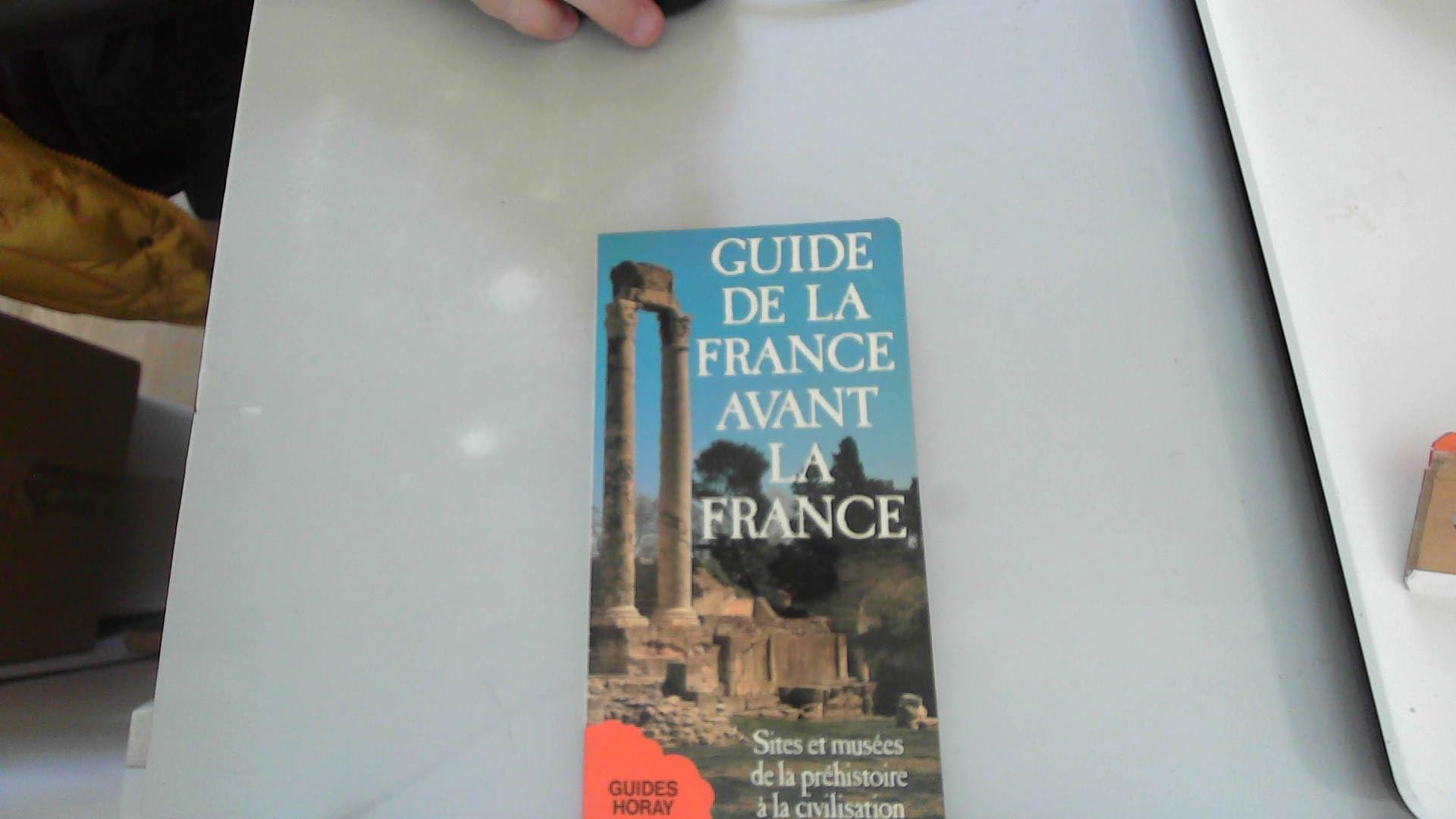 Guide de la France avant la France: Sites et musées de la préhistoire à la civilisation gallo-romaine Books