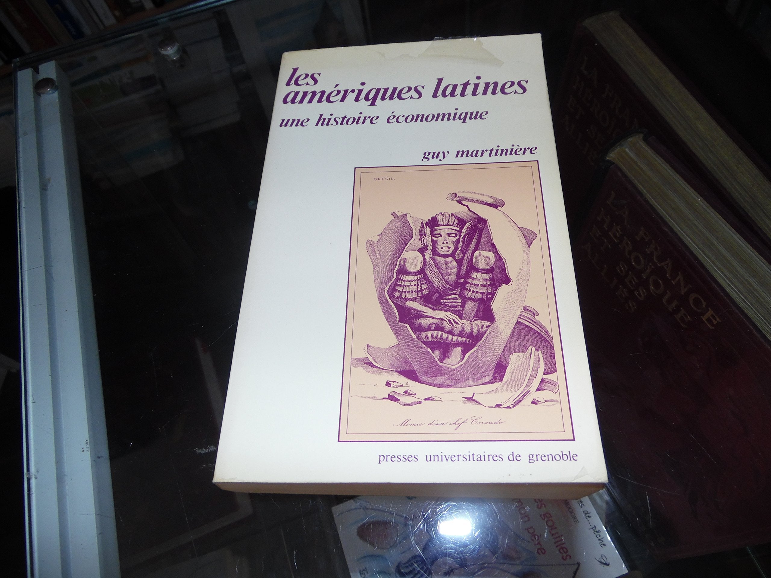 Les Amériques latines : une histoire économique Books