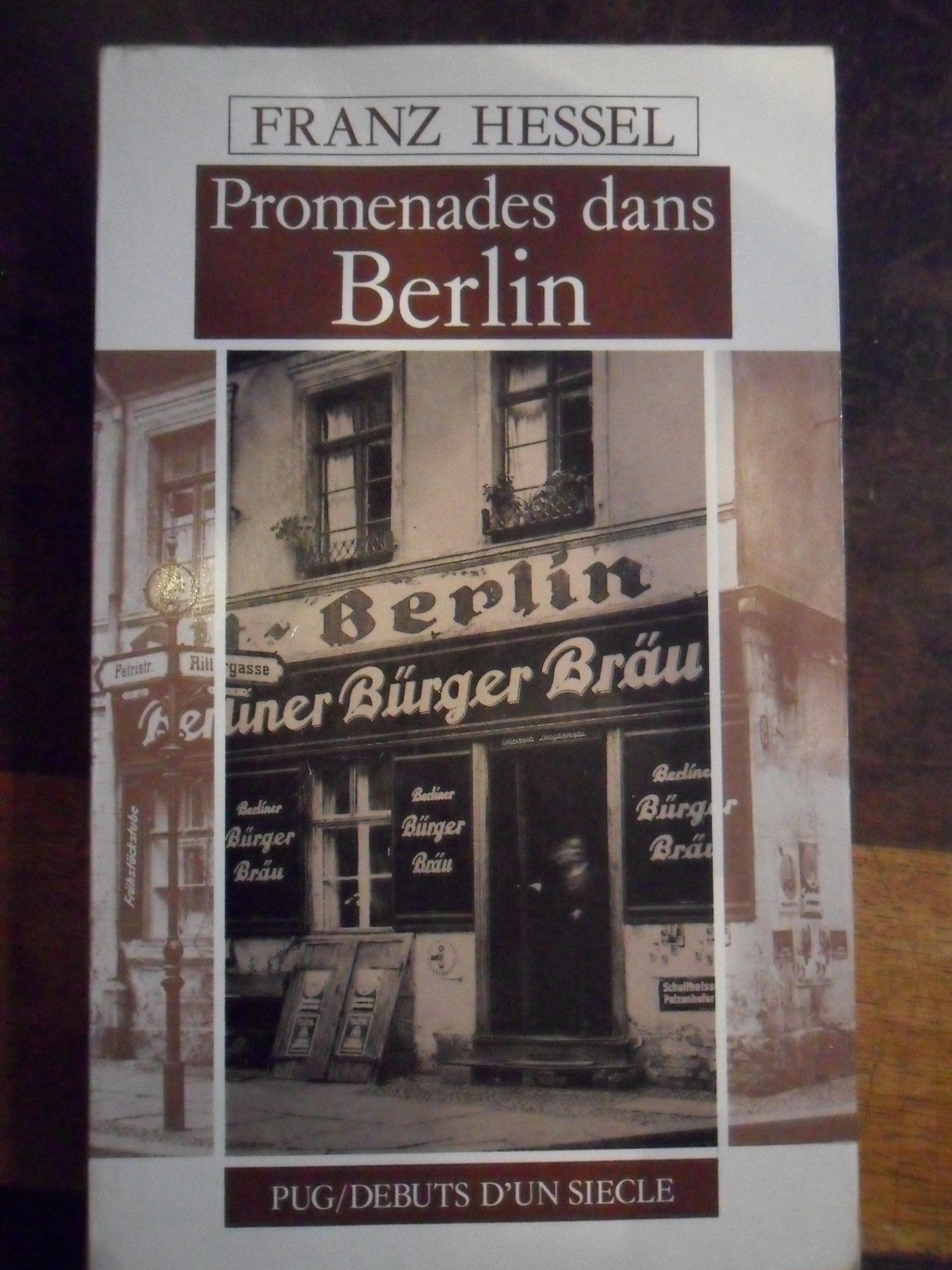 Promenades dans Berlin. Le flâneur de Berlin book