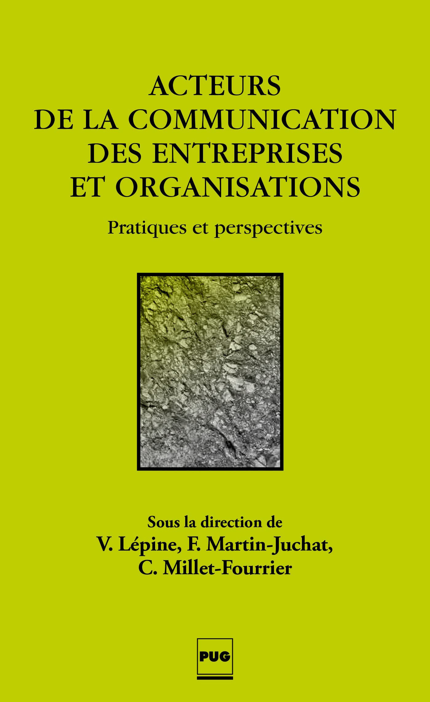 Acteurs de la communication des entreprises et des organisations: Pratiques et perspectives book