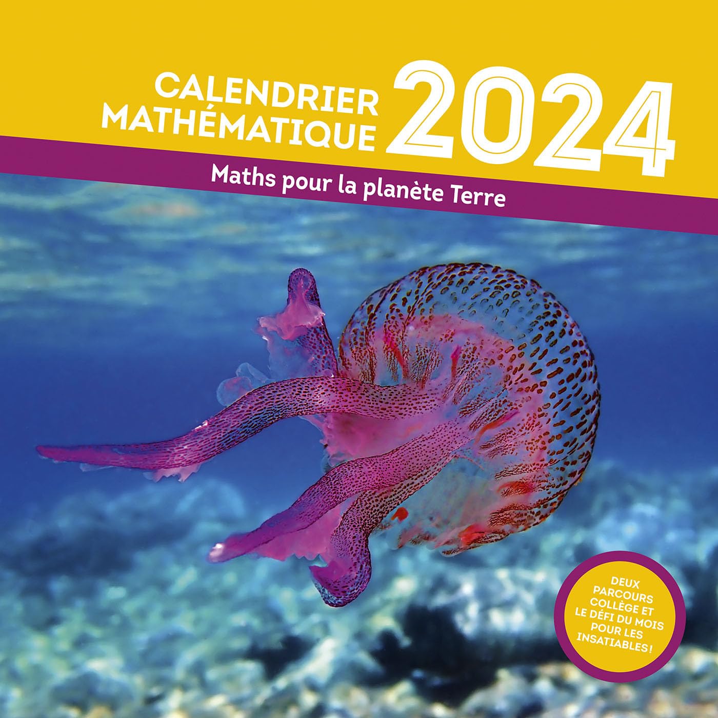 CALENDRIER MATHEMATIQUE 2024: Maths pour la planète Terre book