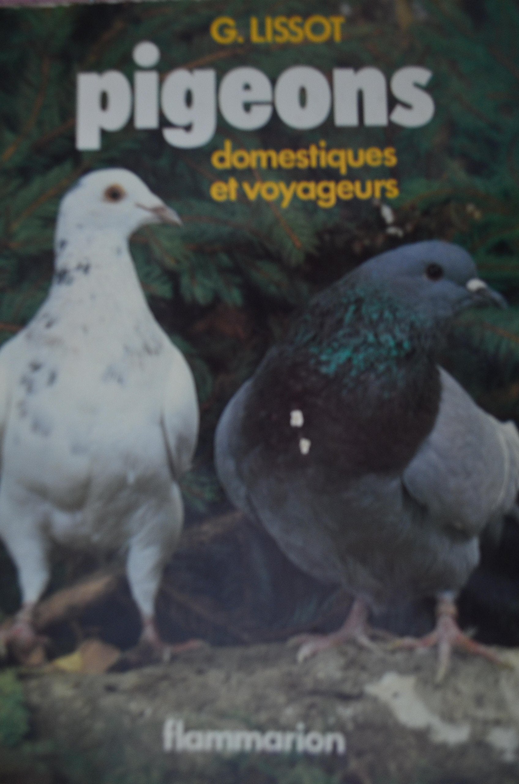 Pigeons domestiques et voyageurs book