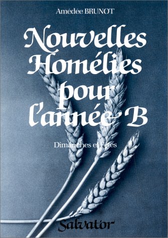 Nouvelles homélies pour l'année B : scrutez les Ecritures, 2e série Books
