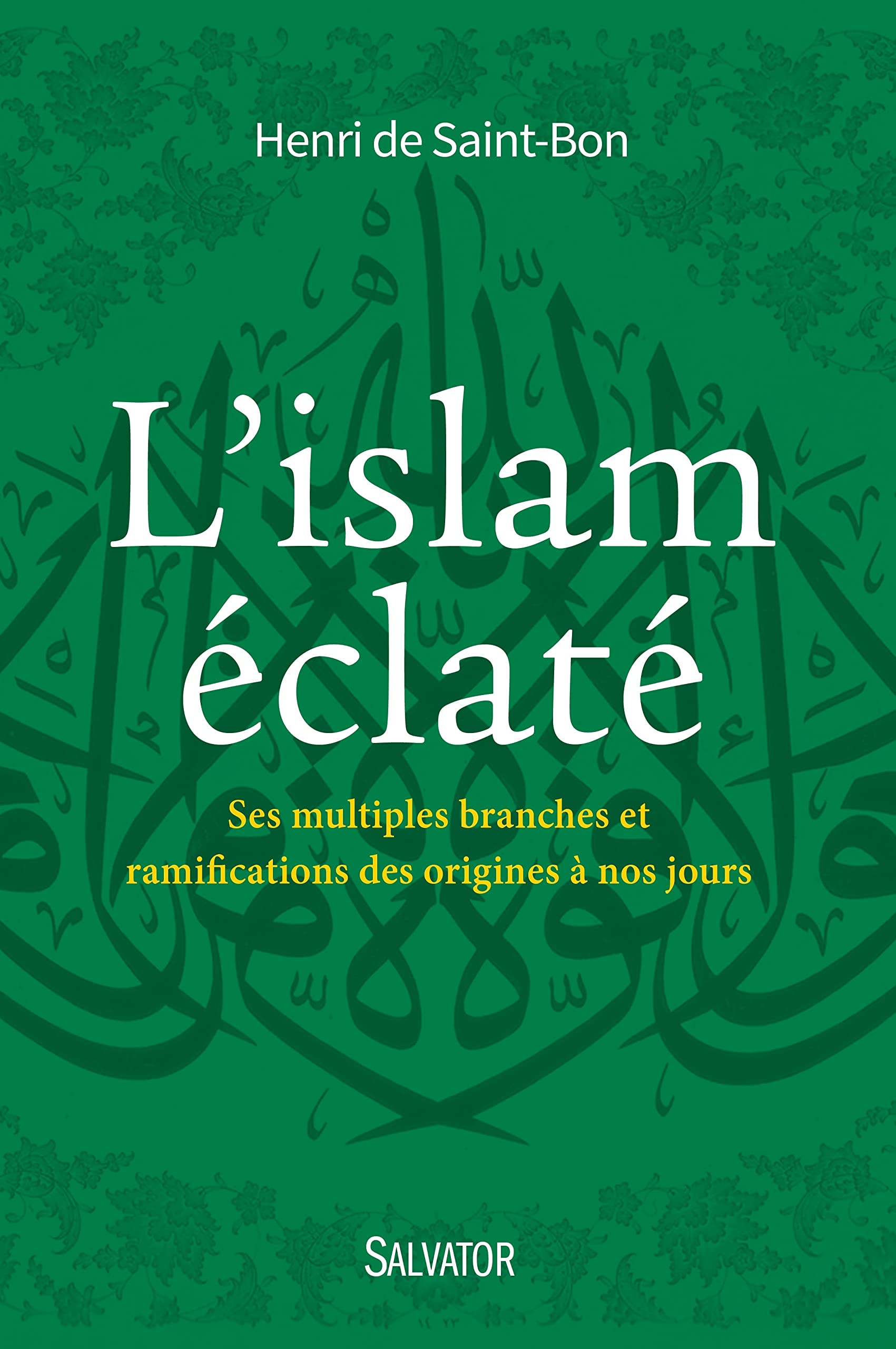 L'Islam éclaté : Ses multiples branches et ramifications des origines à nos jours book
