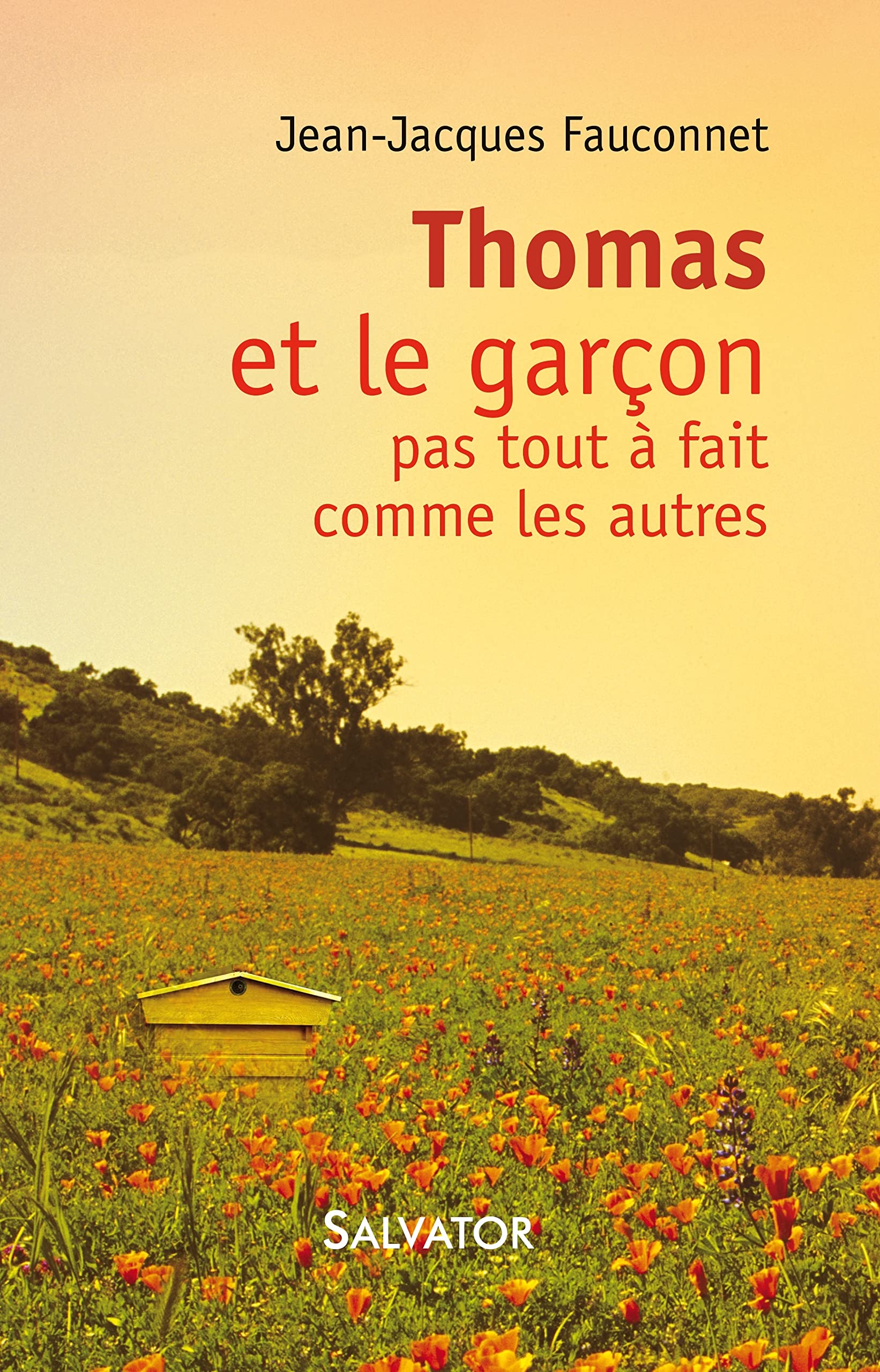 Thomas et le pas tout à fait comme les autres book