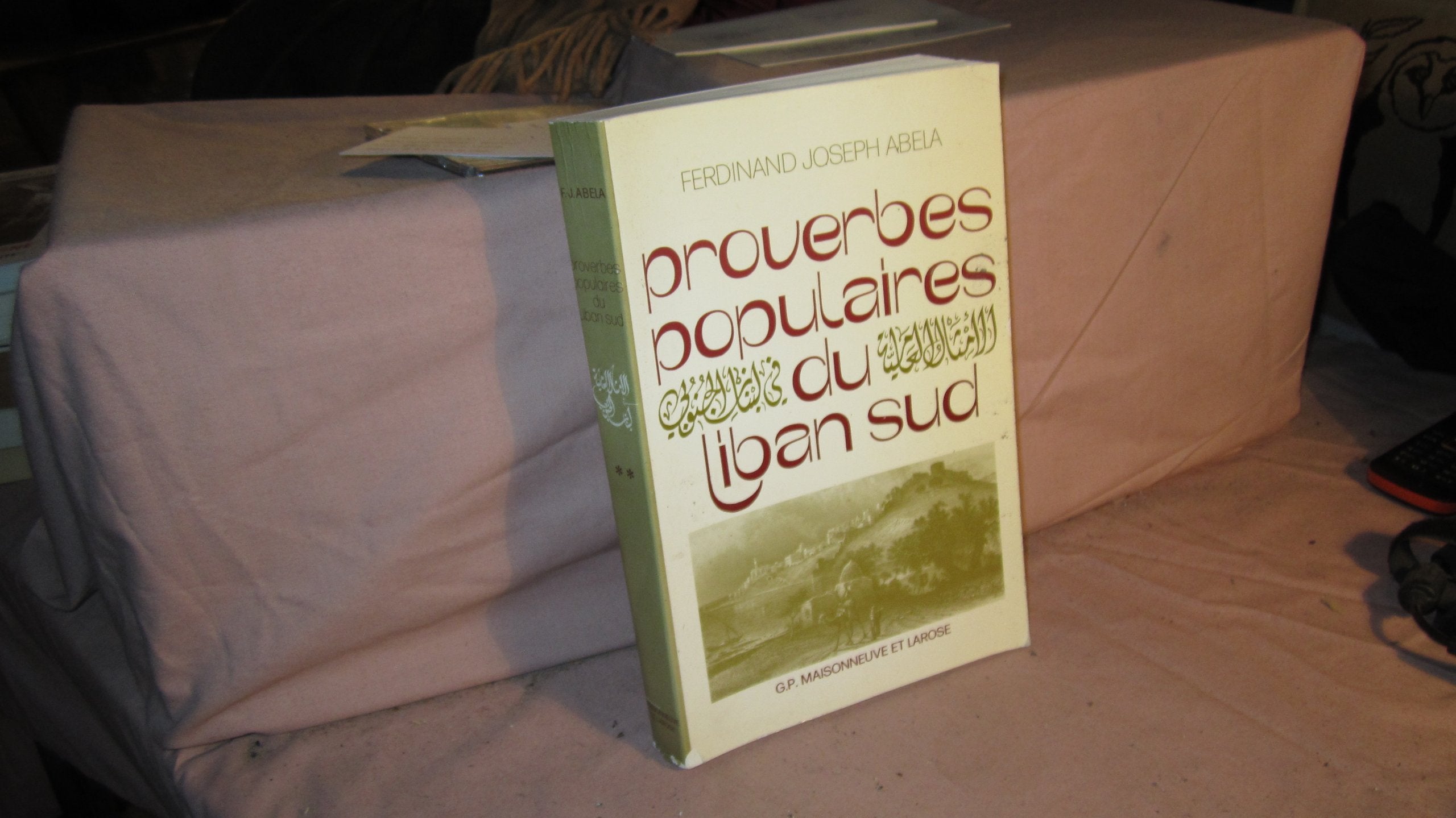 Proverbes populaires du Liban sud : Saïda et ses environs. Vol. 2 Books