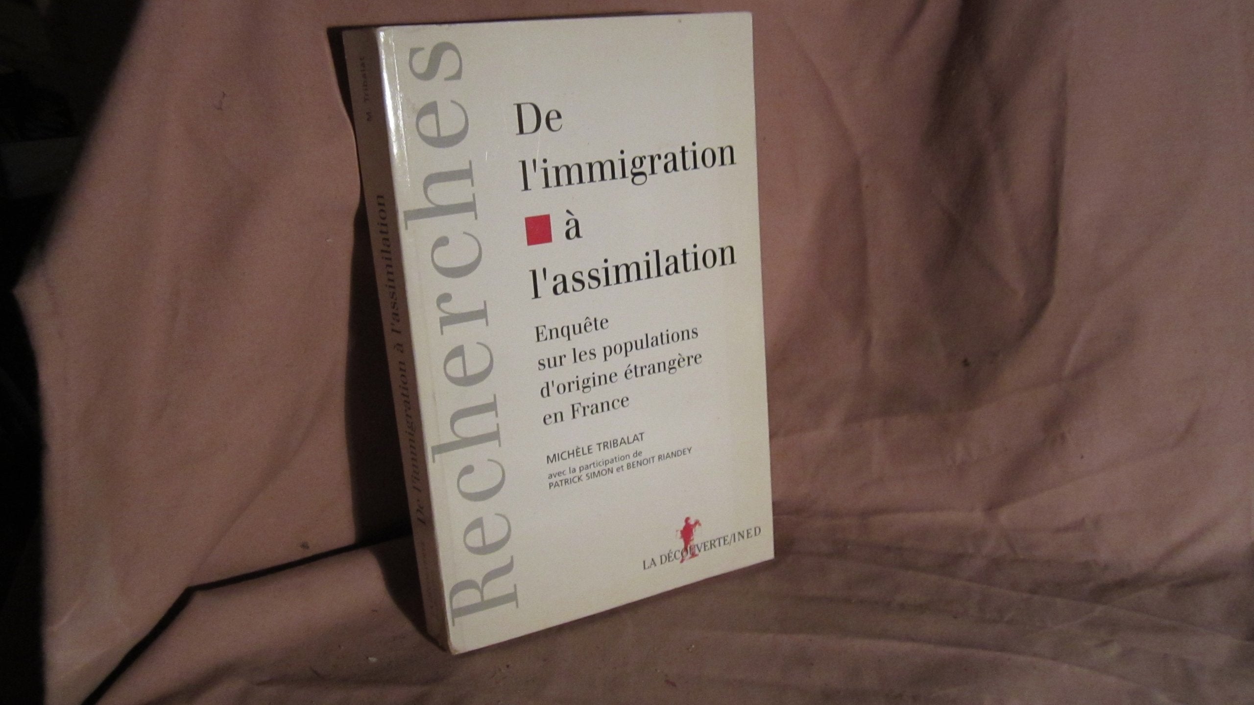 De l'immigration à l'assimilation: Enquête sur les populations d'origine étrangère en France Books