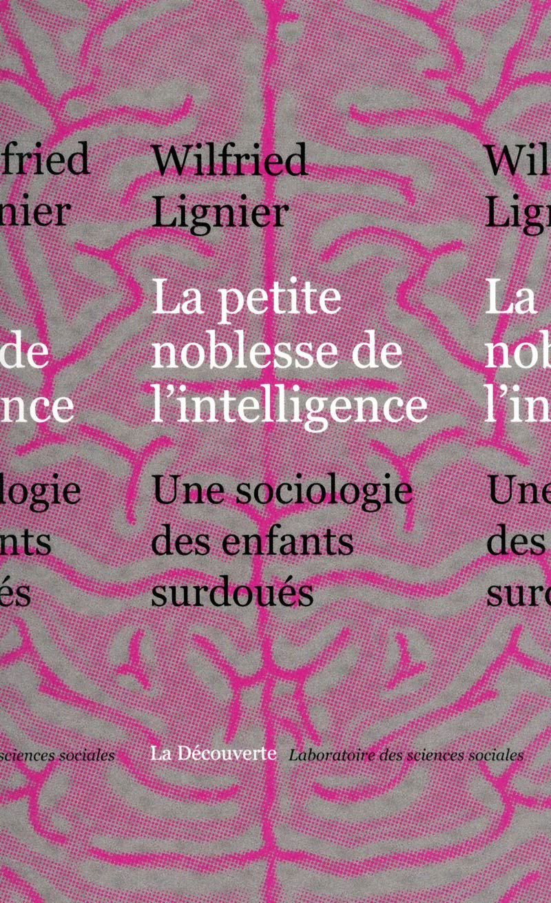 La petite noblesse de l'intelligence: Une sociologie des enfants surdoués book