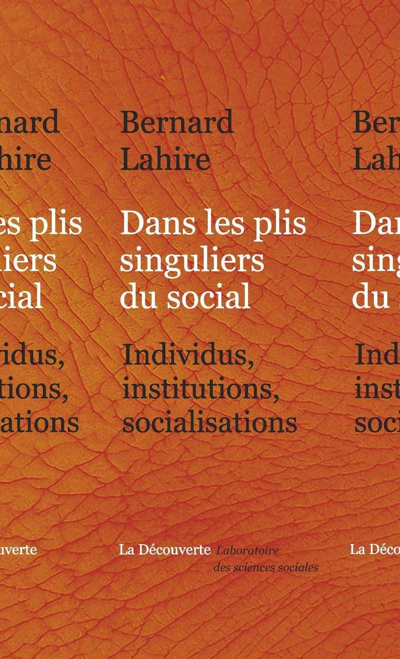 Dans les plis singuliers du social: Individus, institutions, socialisations Social Sciences